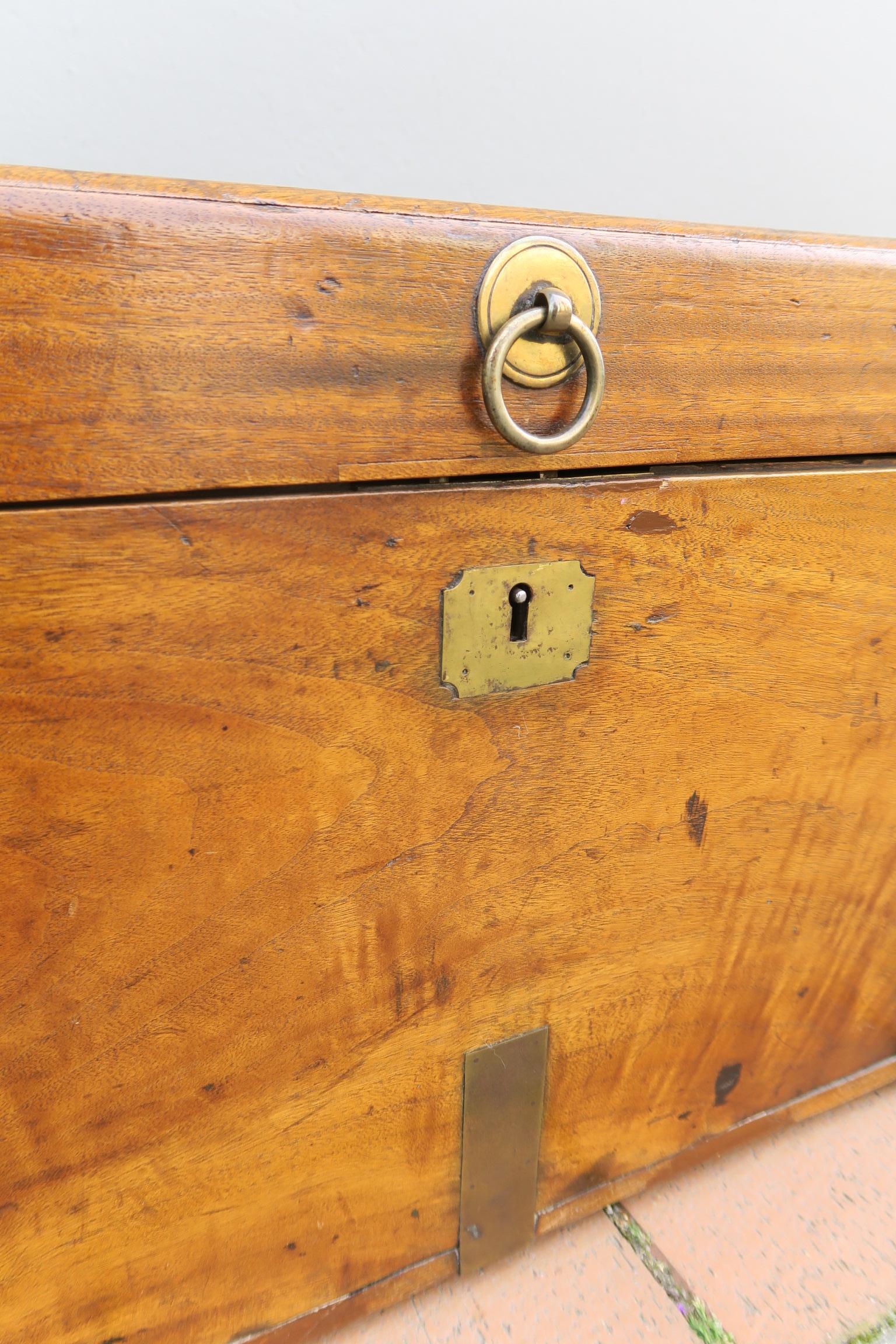 baúl militar antiguo de madera de alcanfor maciza de mediados de la época victoriana Latón en venta