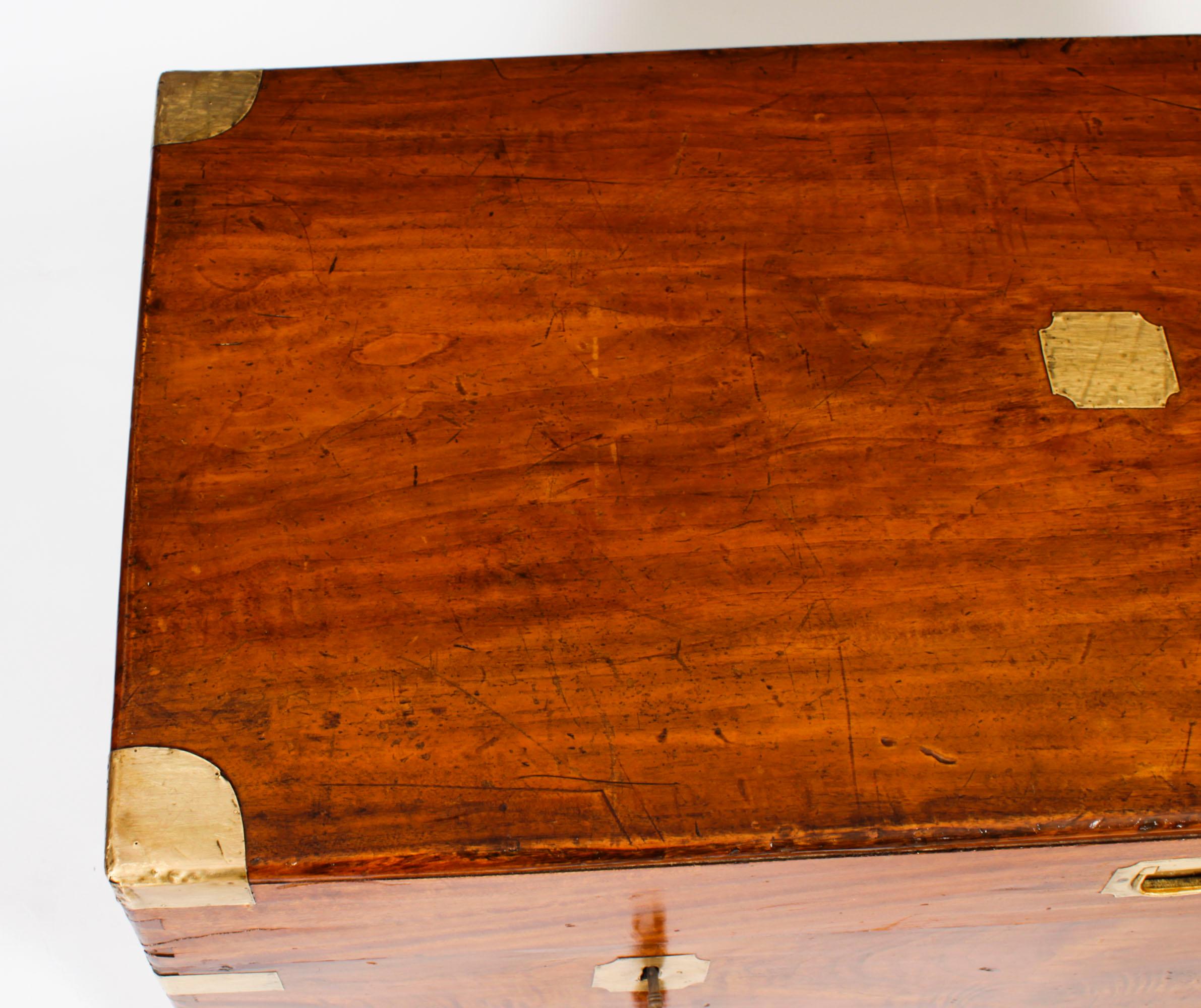 Antique Military Campaign Camphorwood Trunk Coffer 19th Century In Good Condition In London, GB