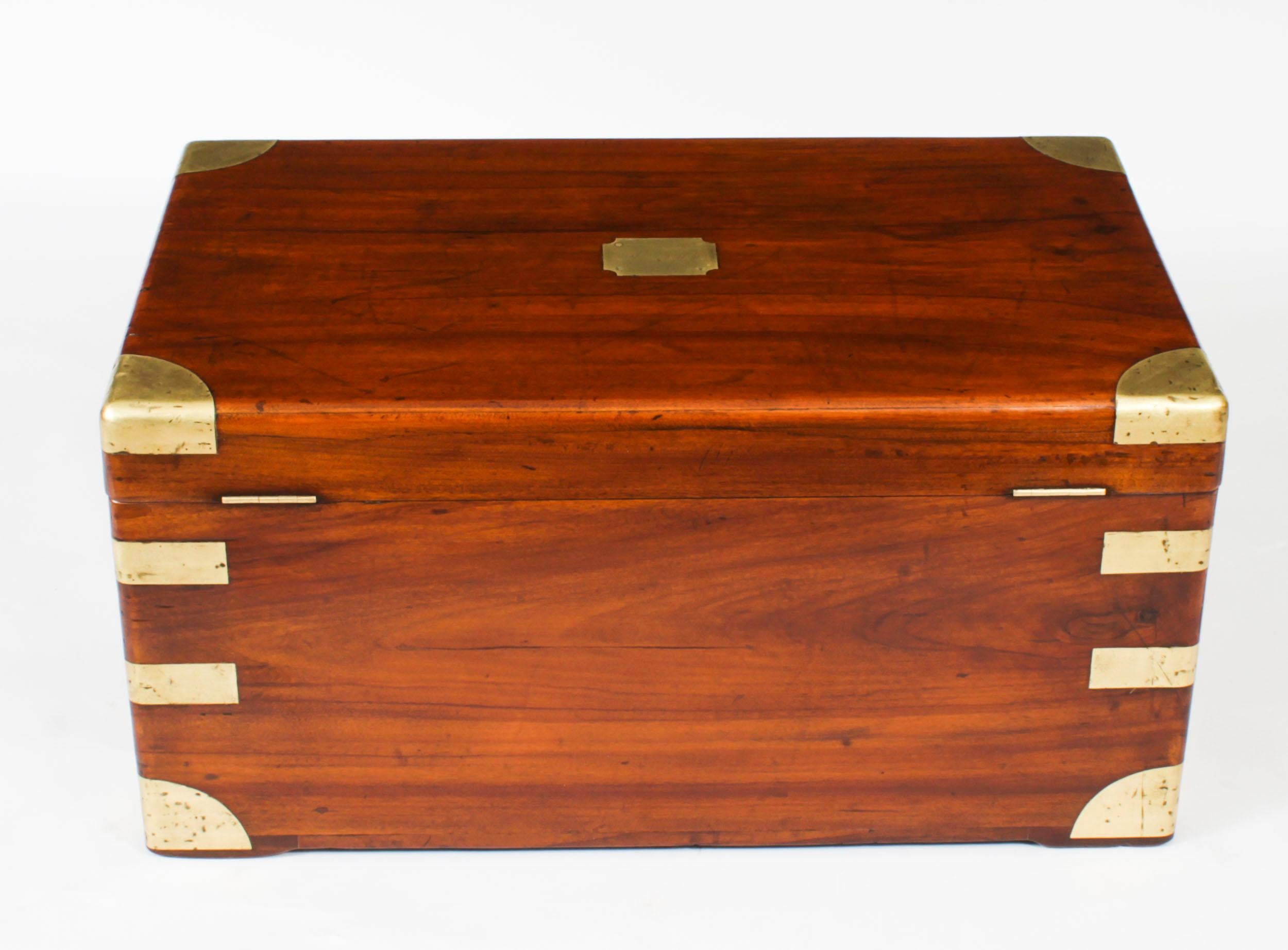 Antique Military Campaign Camphorwood Trunk Coffer c1820 19th C 5