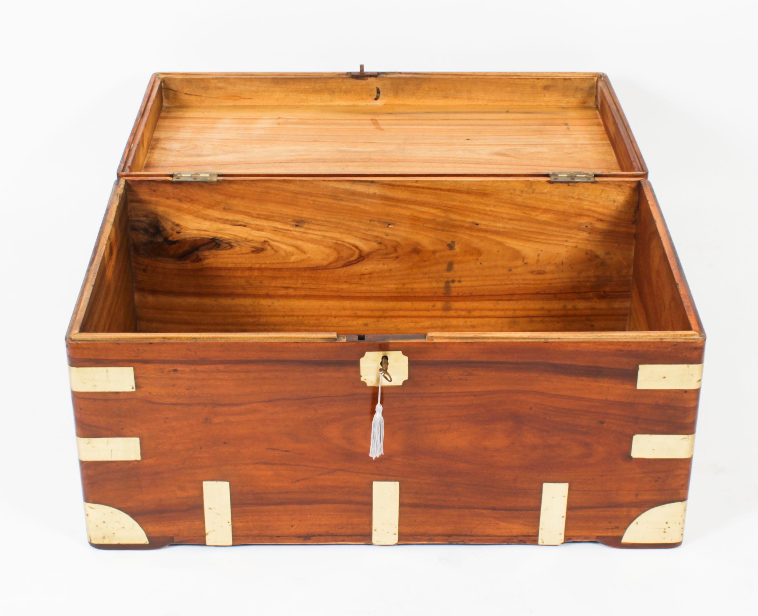 Antique Military Campaign Camphorwood Trunk Coffer c1820 19th C 6