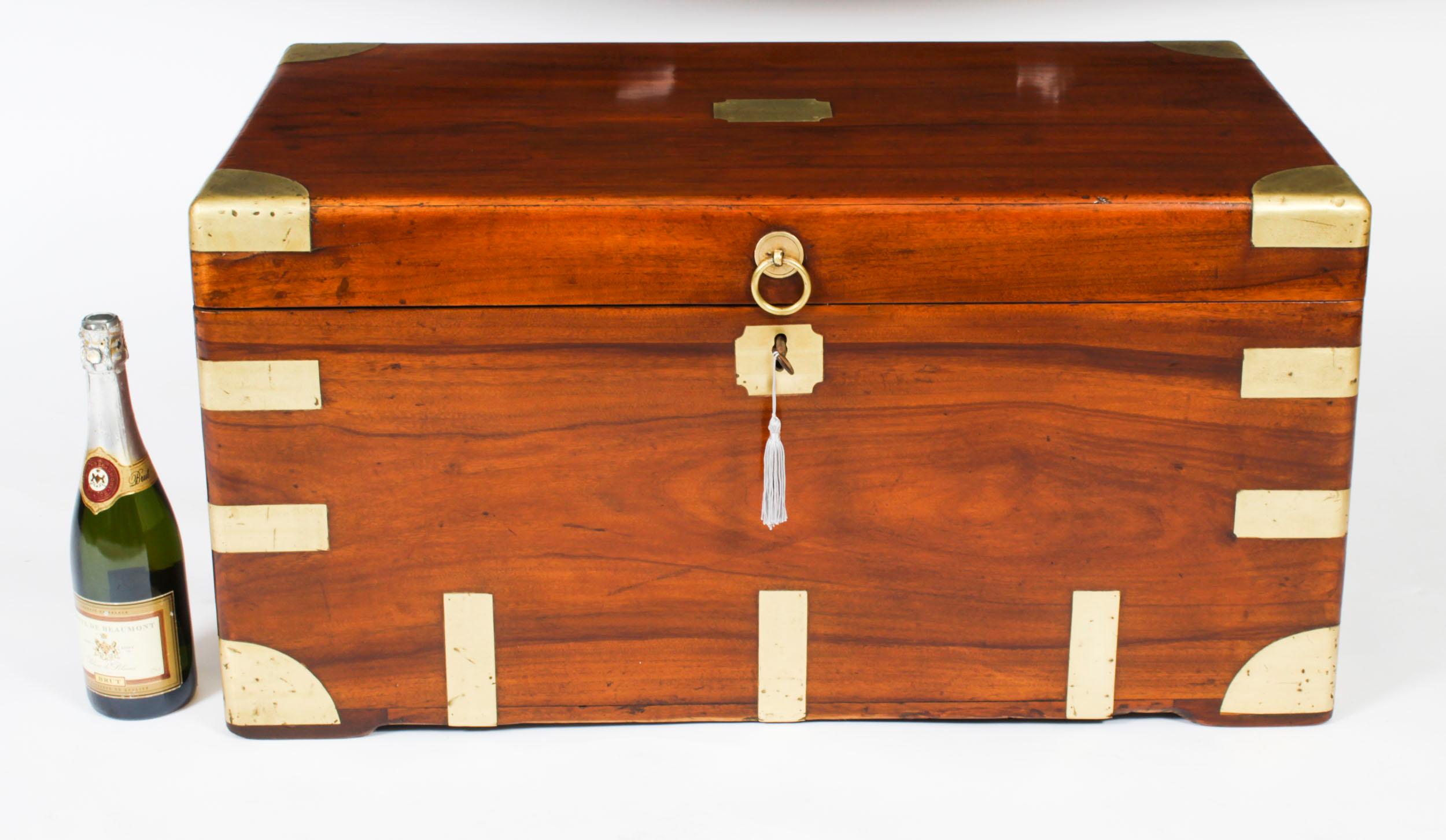 Antique Military Campaign Camphorwood Trunk Coffer c1820 19th C 9