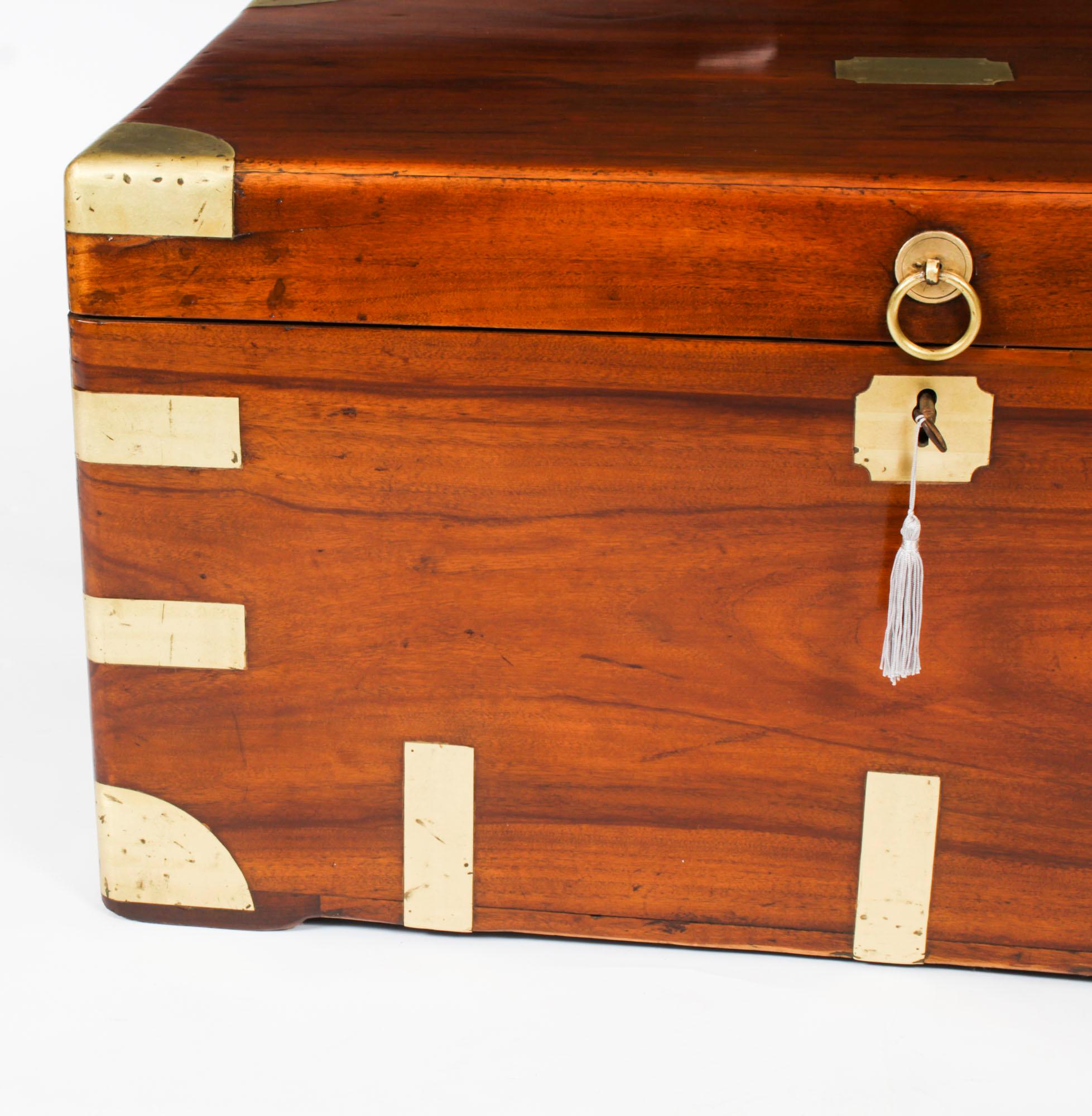 Antique Military Campaign Camphorwood Trunk Coffer c1820 19th C 2