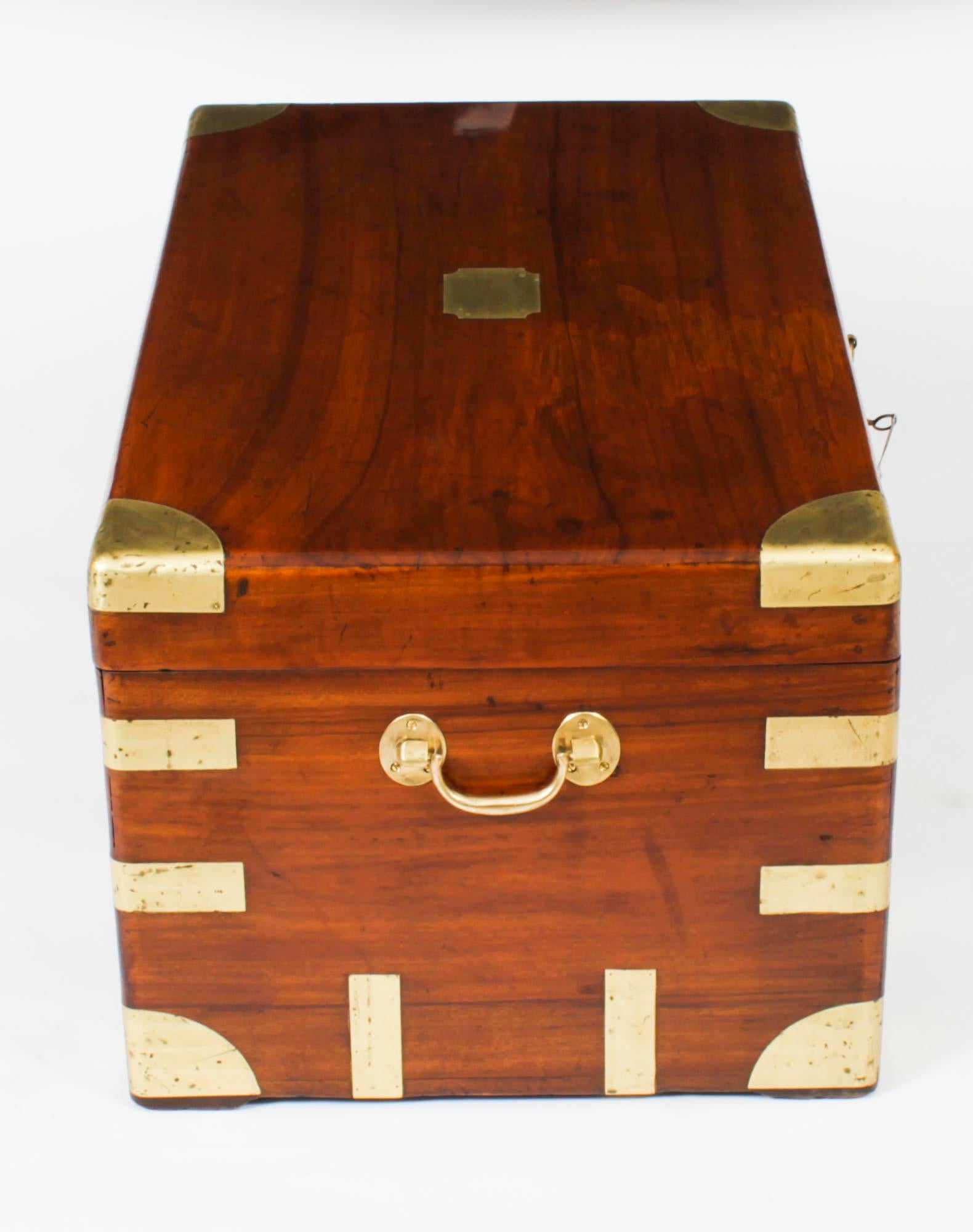 Antique Military Campaign Camphorwood Trunk Coffer c1820 19th C 3