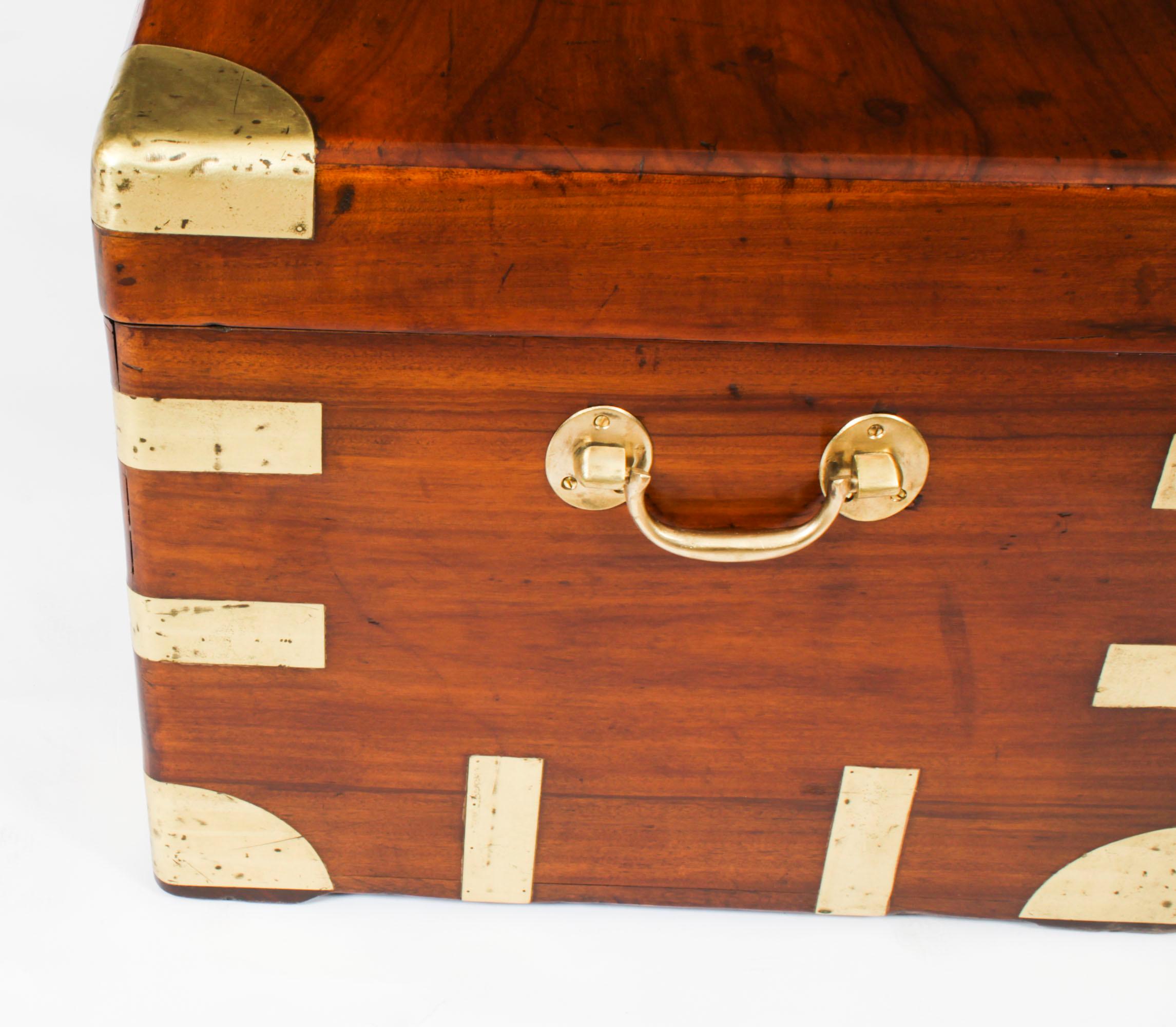 Antique Military Campaign Camphorwood Trunk Coffer c1820 19th C 4