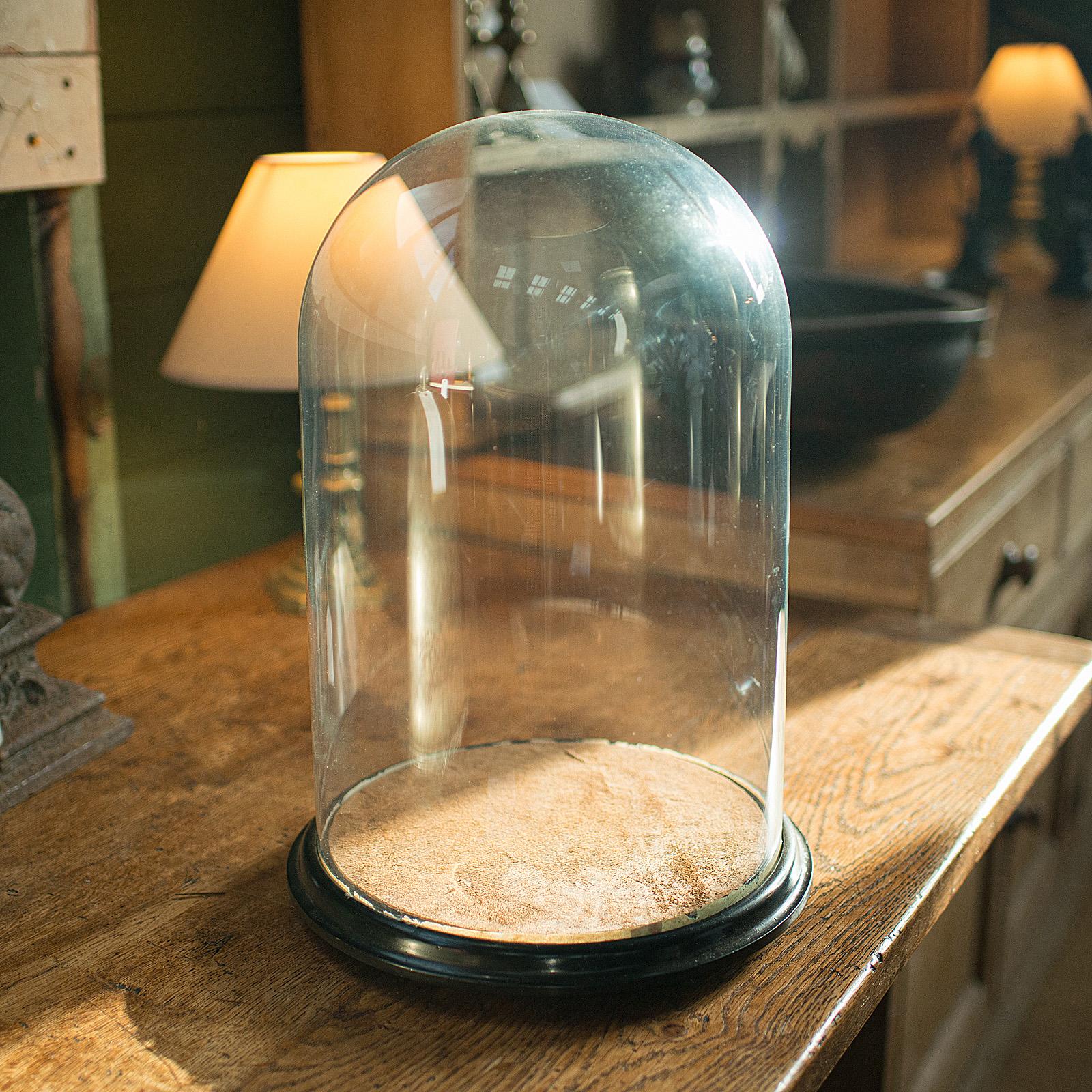 Il s'agit d'un dôme de présentation antique en miroir. Vitrine d'exposition ou de taxidermie anglaise en verre et bois doré, datant de la fin de la période victorienne, vers 1880.

De larges proportions, avec un intérieur en miroir saisissant - un