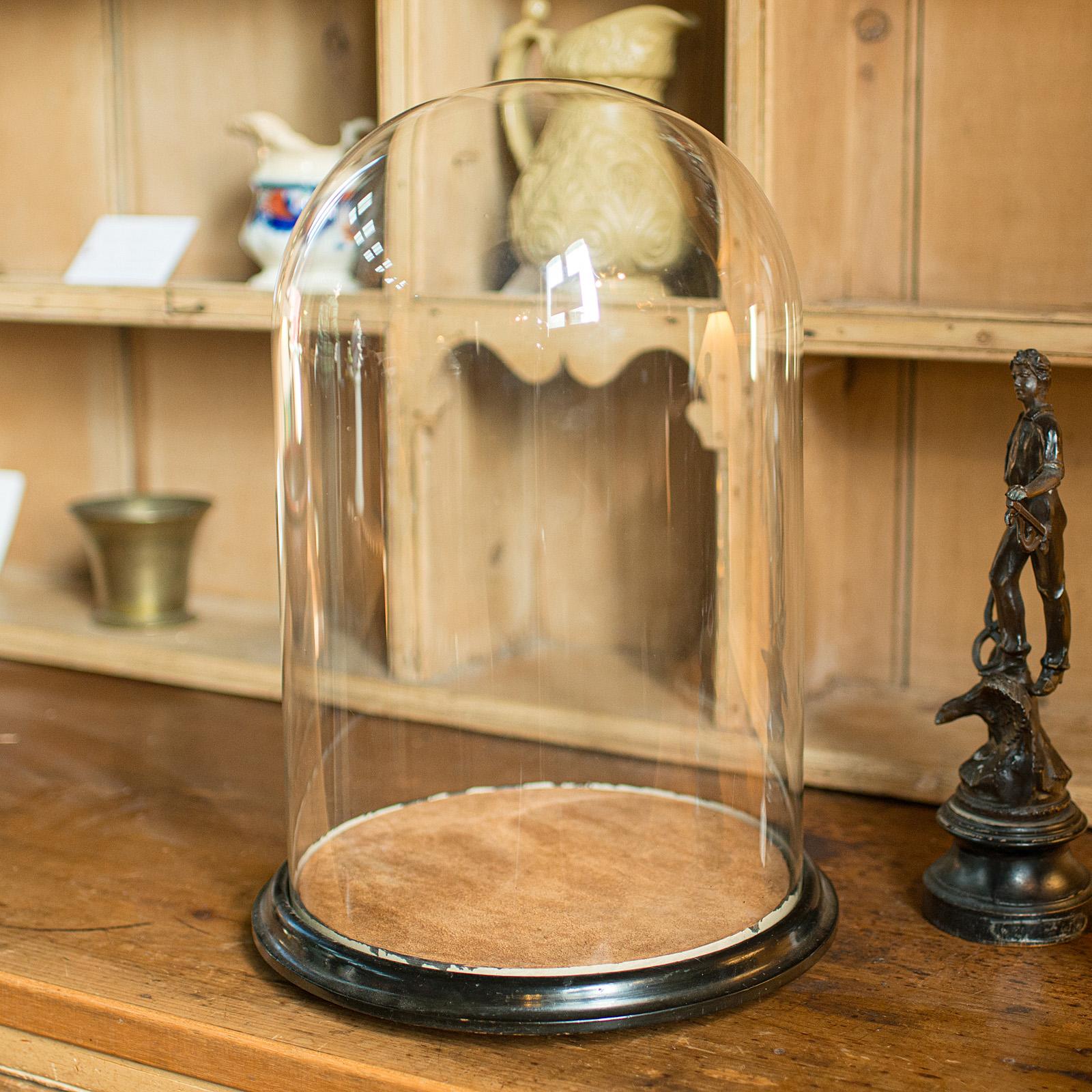Antique Mirror Display Dome, English, Exhibition Taxidermy Showcase, Victorian Bon état - En vente à Hele, Devon, GB