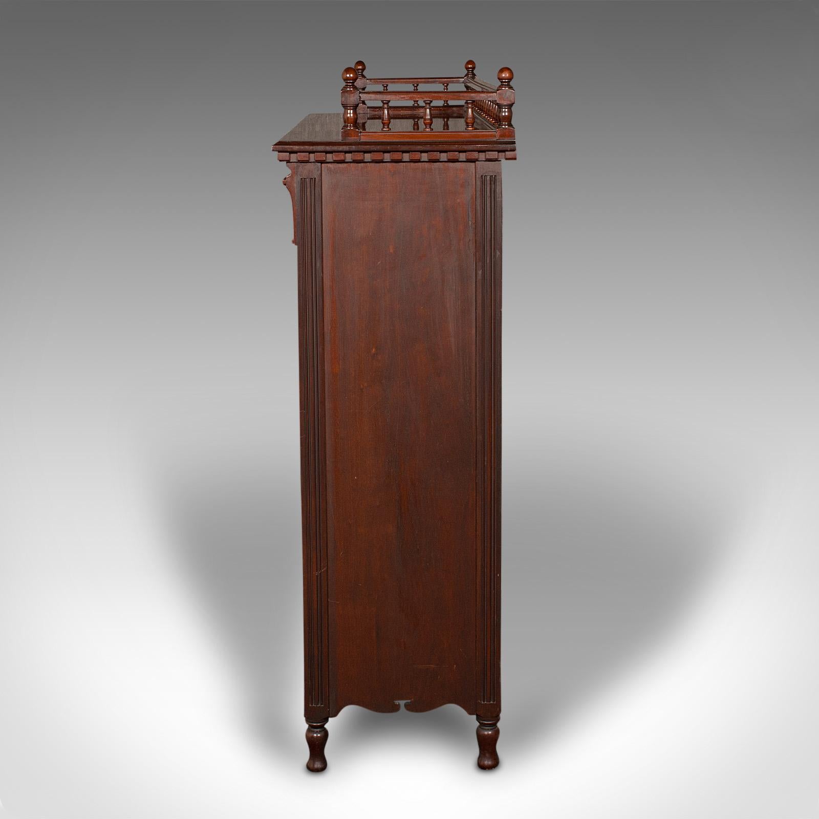 19th Century Antique Mirrored Duet Cabinet, English, Walnut, Bookcase, Cupboard, Victorian For Sale
