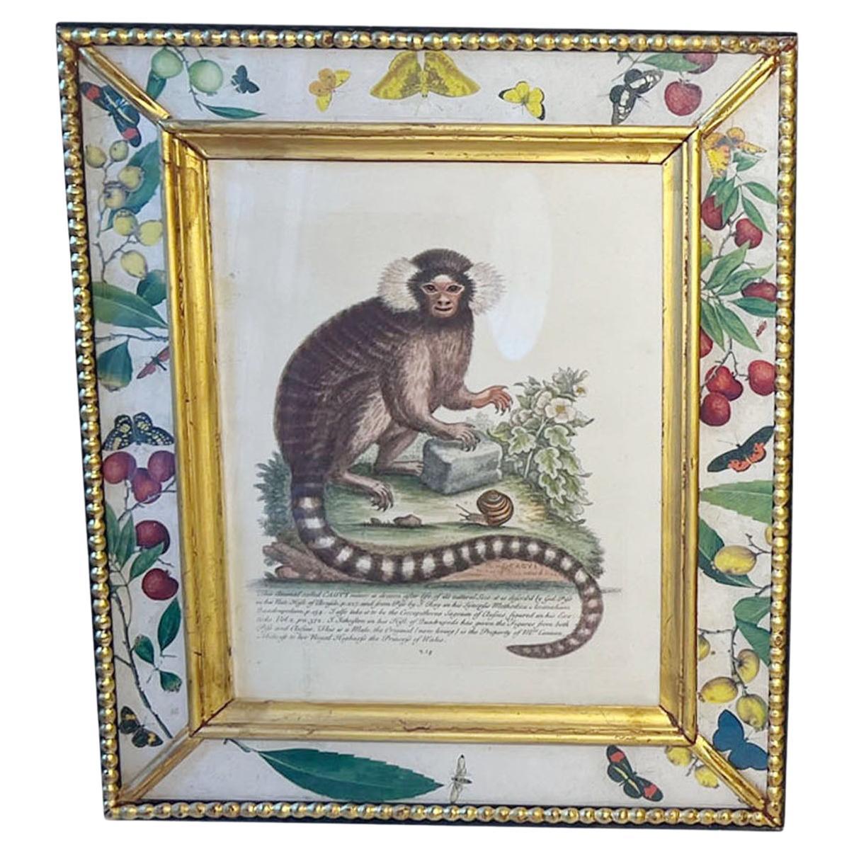 Antique Monkey Engraving  For Sale