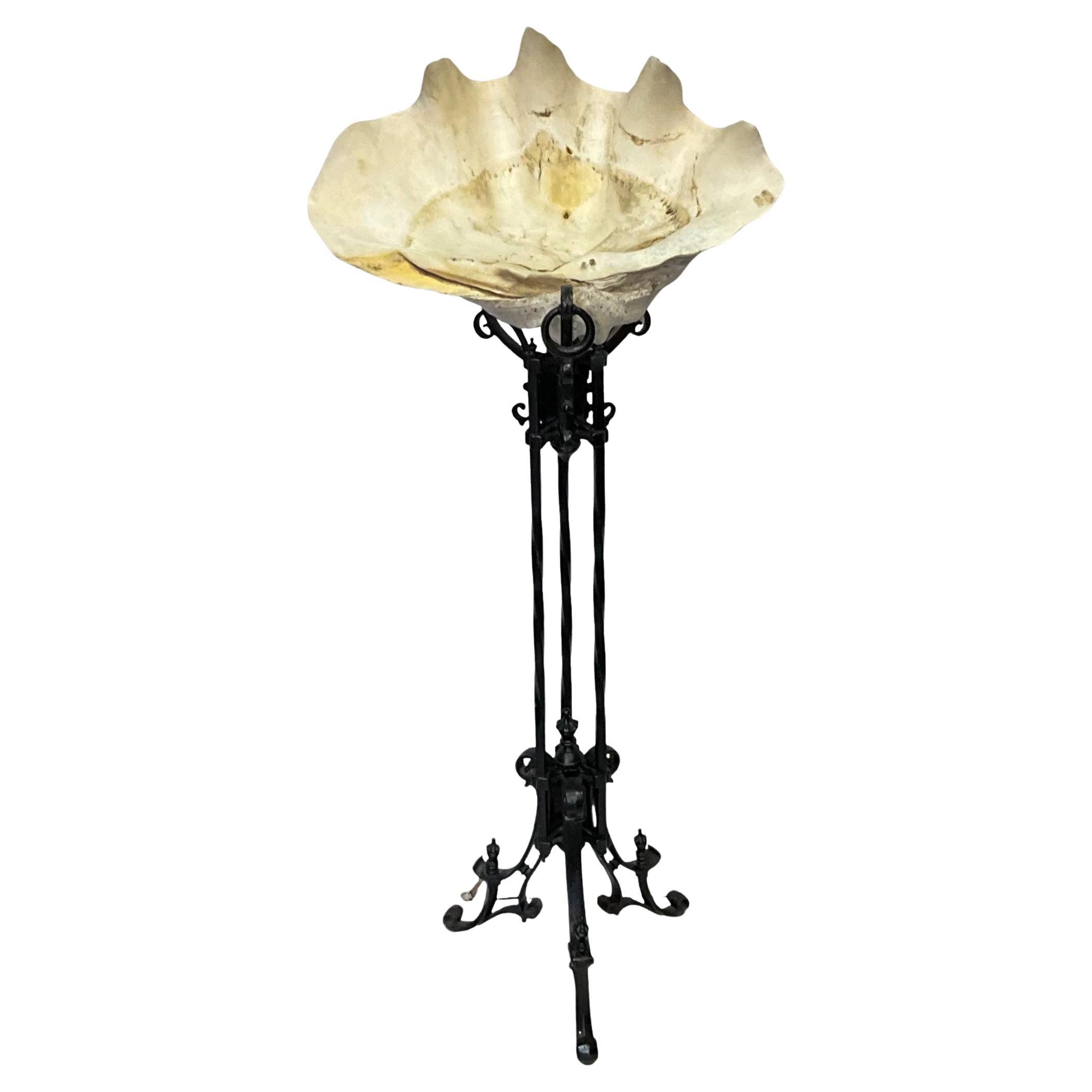 Antique Monumental Clam Shell Resting On Antique Wrought Iron Plant Stand  For Sale
