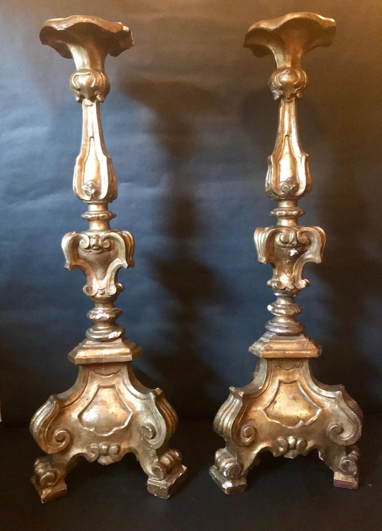 This is a rare and impressive pair of hand-carved and gilded floor candleholders. The bold 19th century Baroque carving is authentic in style. The heavy tripod base with foliate scrolls keeps the candlesticks steady on the floor. At one time, the