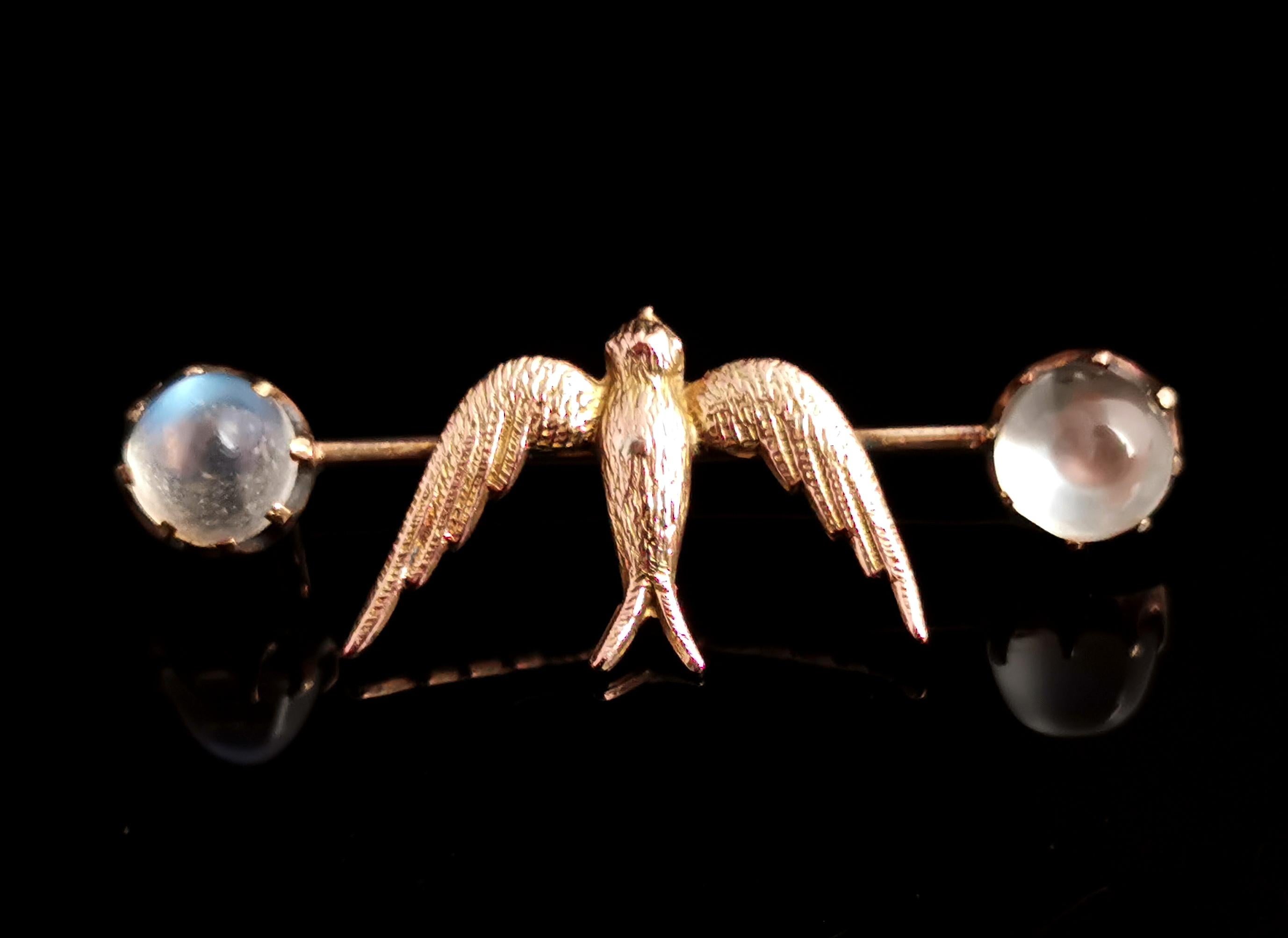 Women's or Men's Antique Moonstone Swallow Brooch, 12k Gold, Edwardian Pin