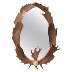 Antique Antique Wall Mirror en bois d'élan