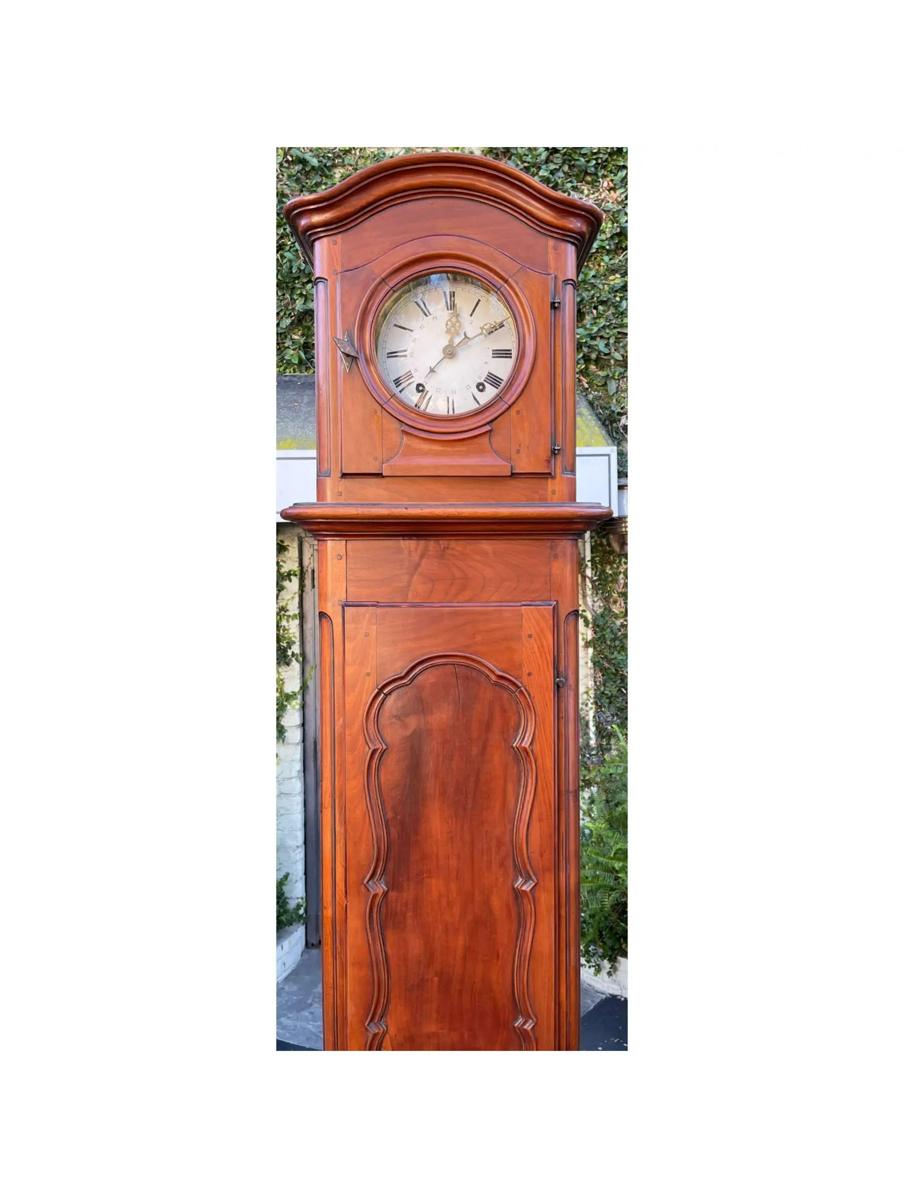 19th Century Antique Morbier French Provincial Fruitwood Grandfather Long Case Clock For Sale