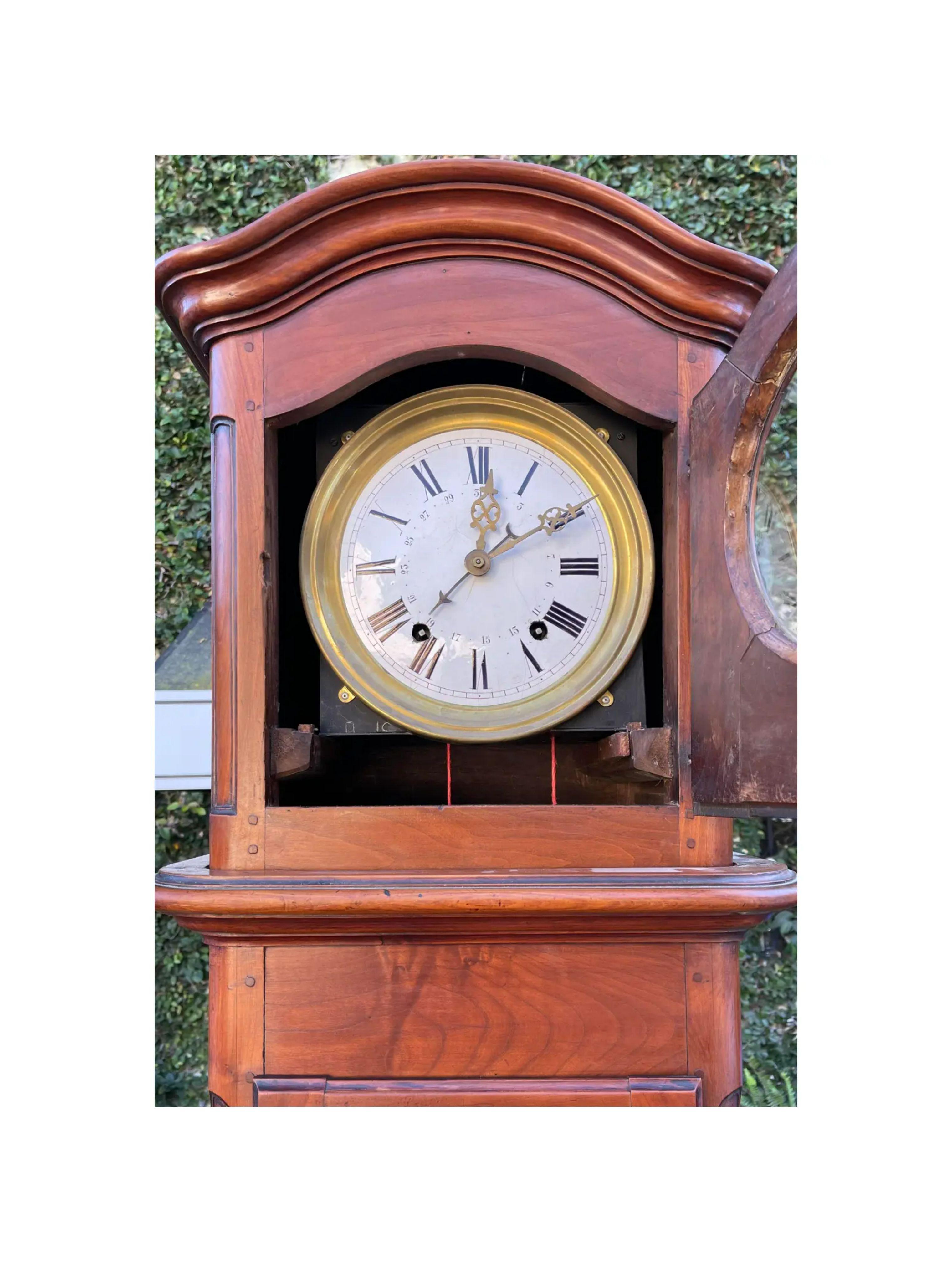 Antique Morbier French Provincial Fruitwood Grandfather Long Case Clock For Sale 1