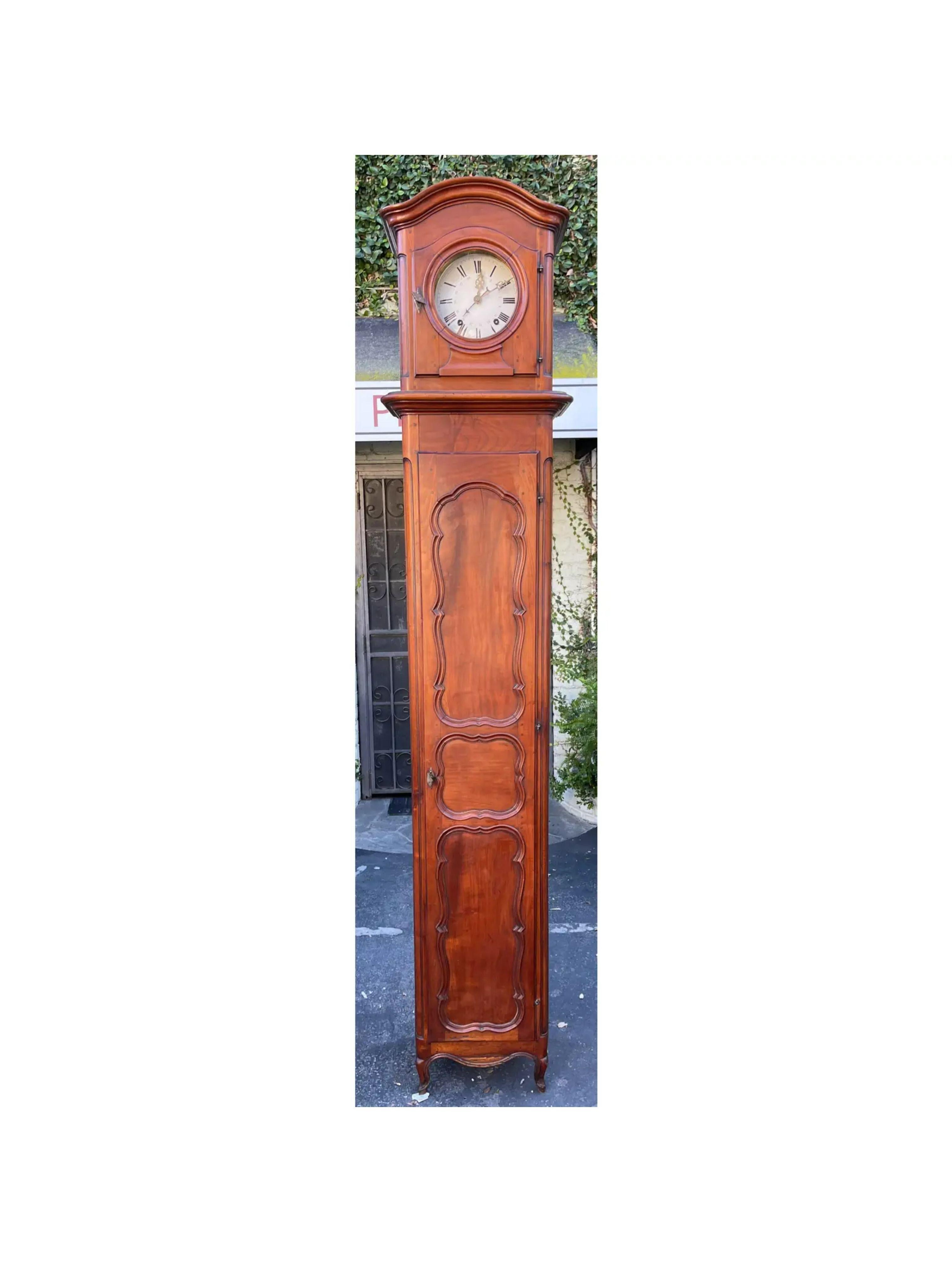 Antique Morbier French Provincial Fruitwood Grandfather Long Case Clock For Sale 3