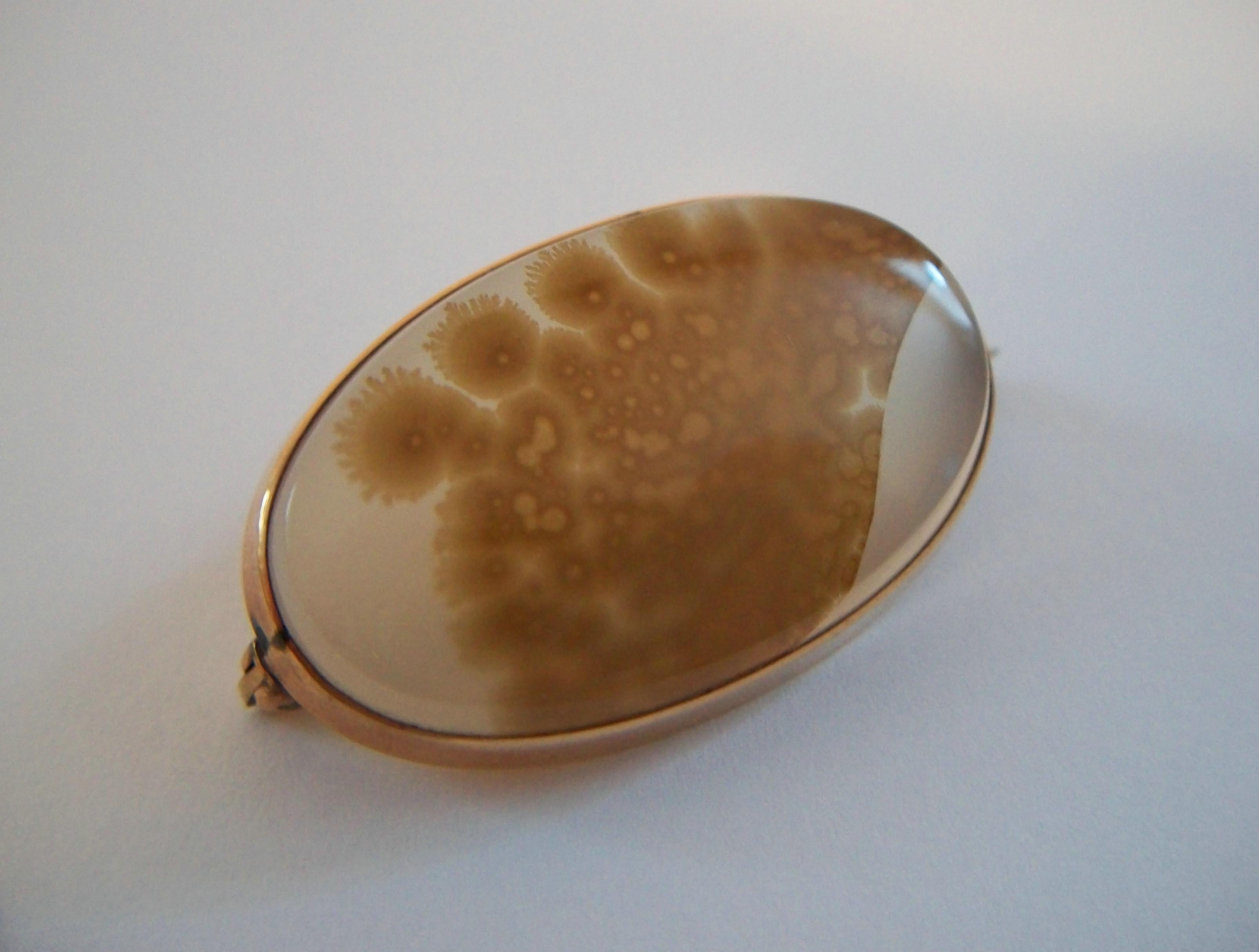 Women's or Men's Antique Moss Agate & 10K Yellow Gold Brooch - Circa 1900 For Sale