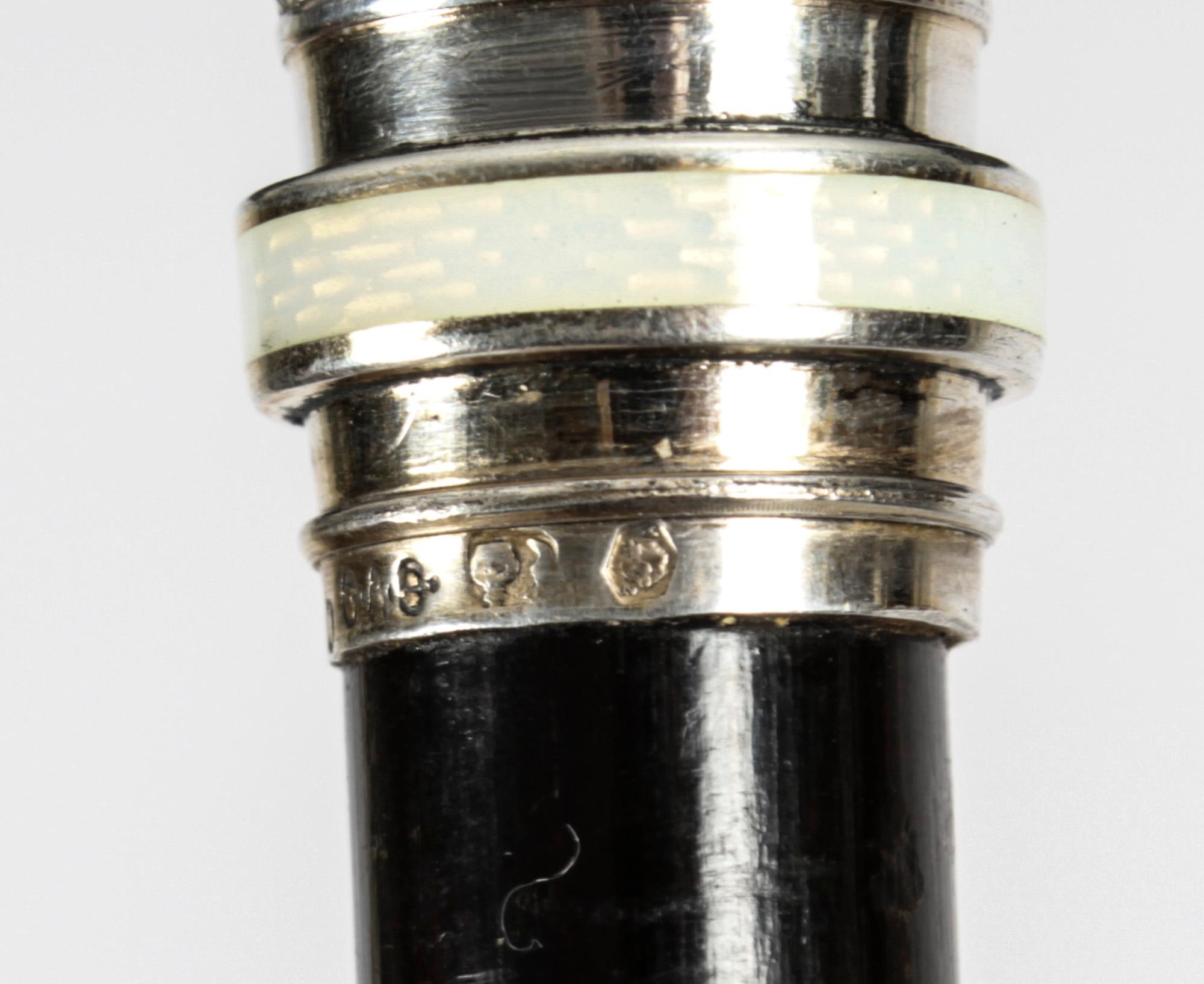 Antique Moss Agate Sterling Silver Walking Stick Cane George Adam Schied 1900 1