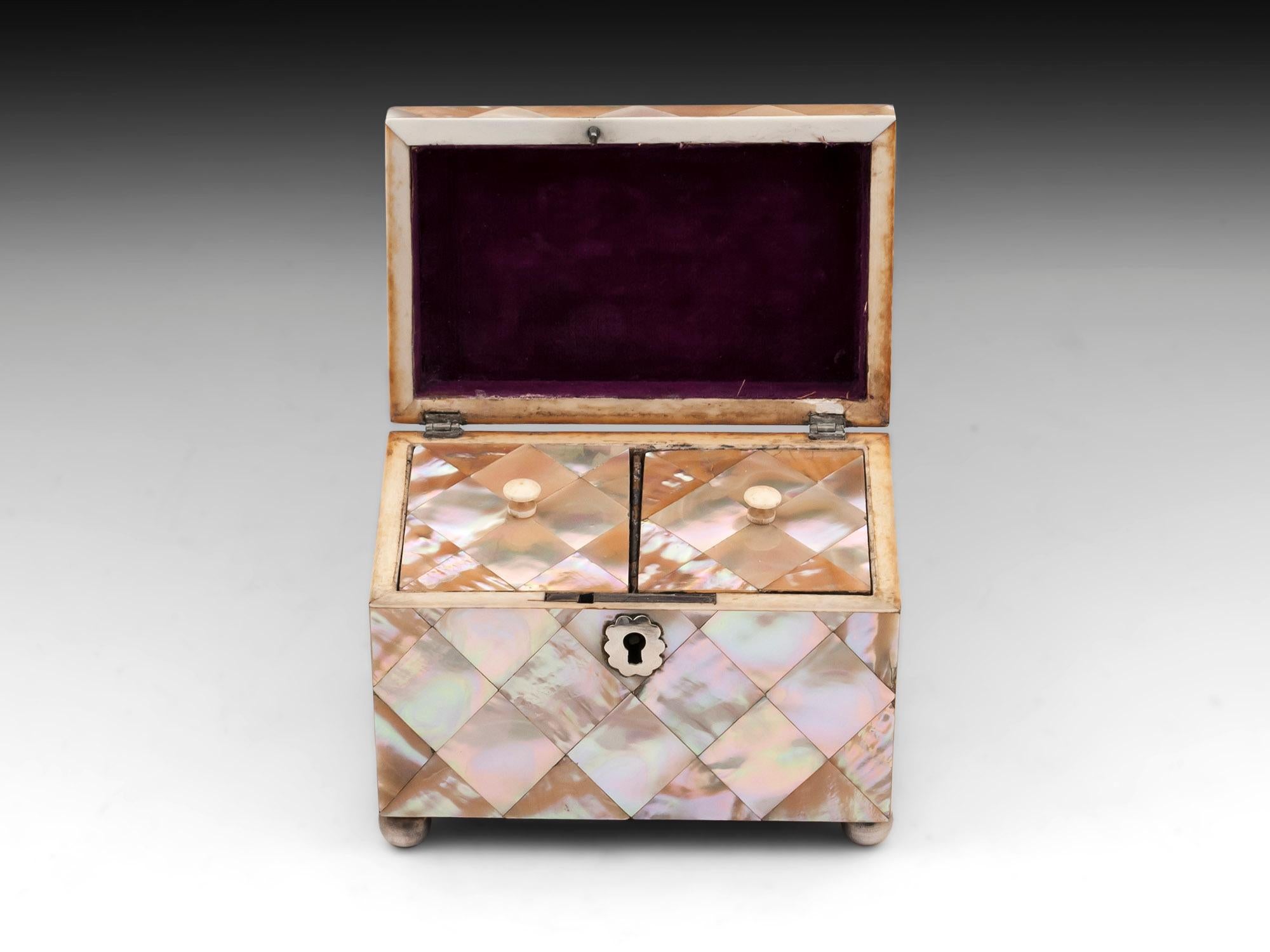 British Antique Mother-of-Pearl and Silver Tea Caddy 19th Century