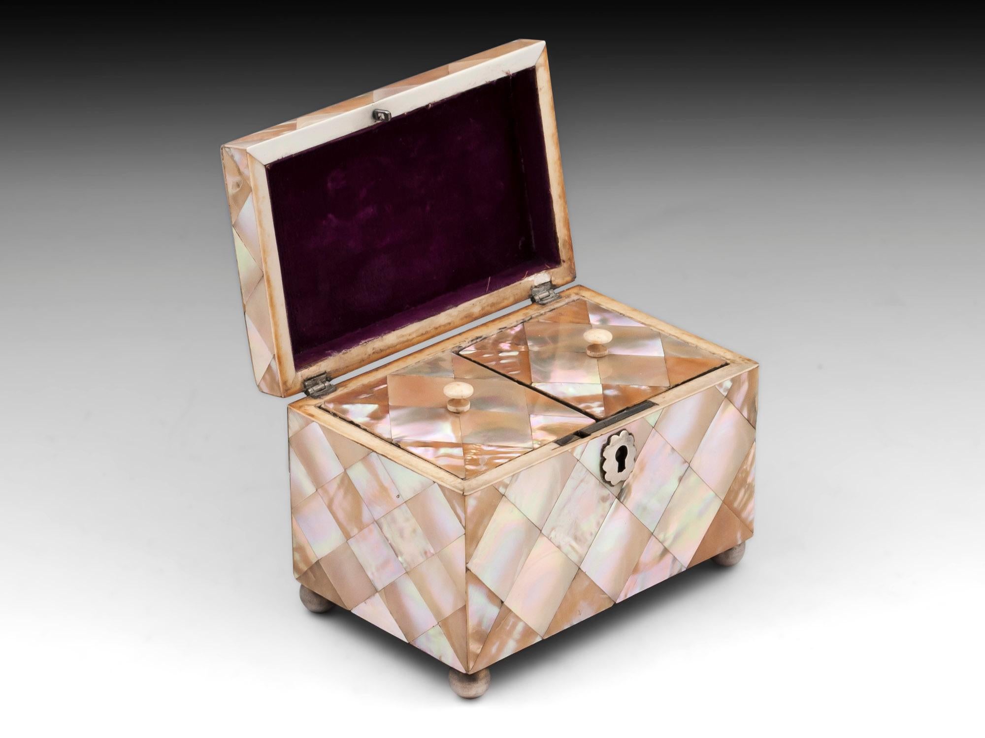 Antique Mother-of-Pearl and Silver Tea Caddy 19th Century In Good Condition In Northampton, United Kingdom
