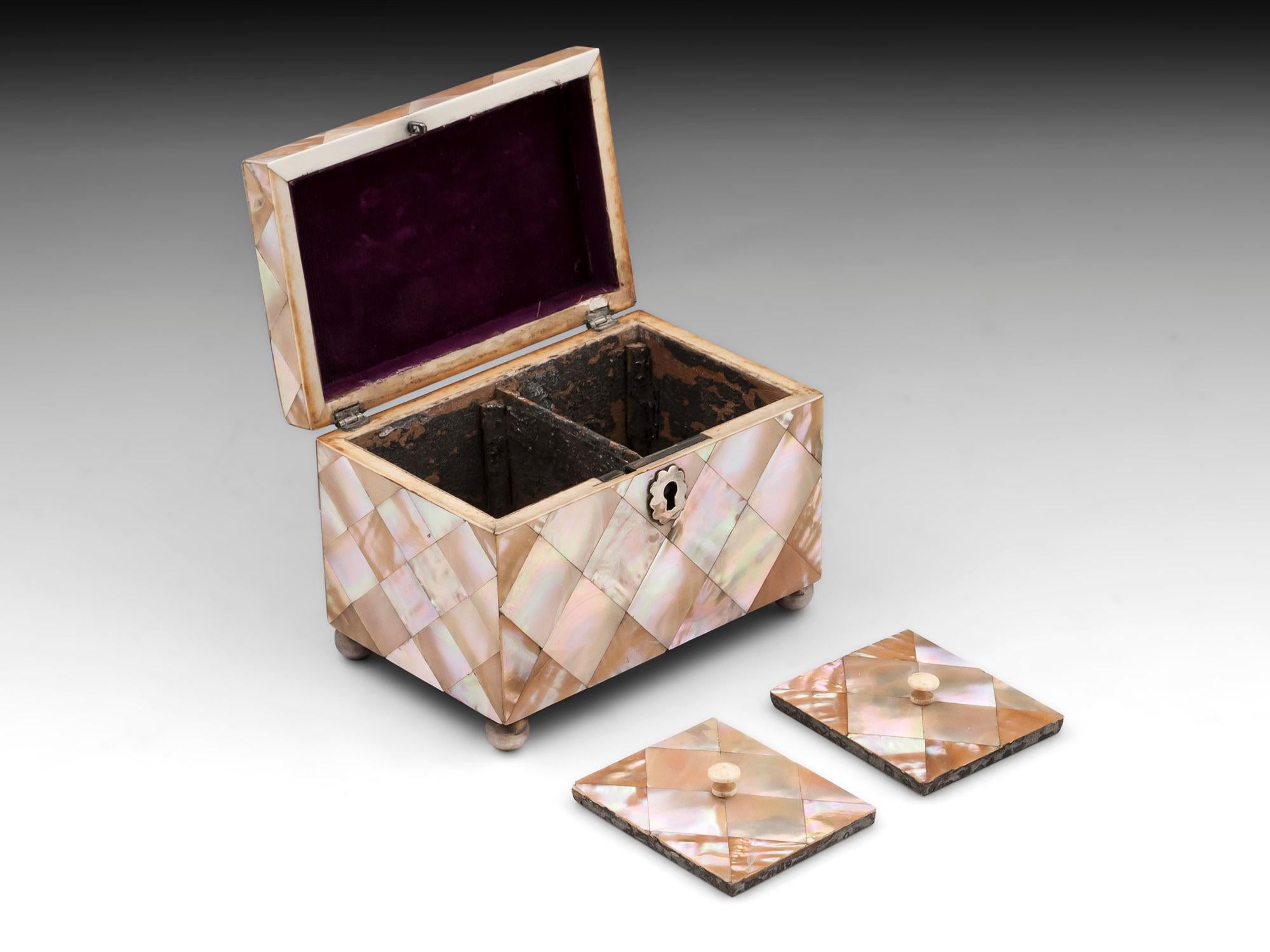 Antique Mother-of-Pearl and Silver Tea Caddy 19th Century 1