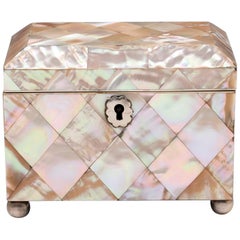 Antique Mother-of-Pearl and Silver Tea Caddy 19th Century