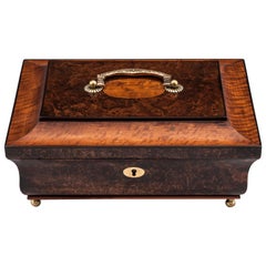 Antique Mulberry and Satinwood Jewelry Box 19th Century