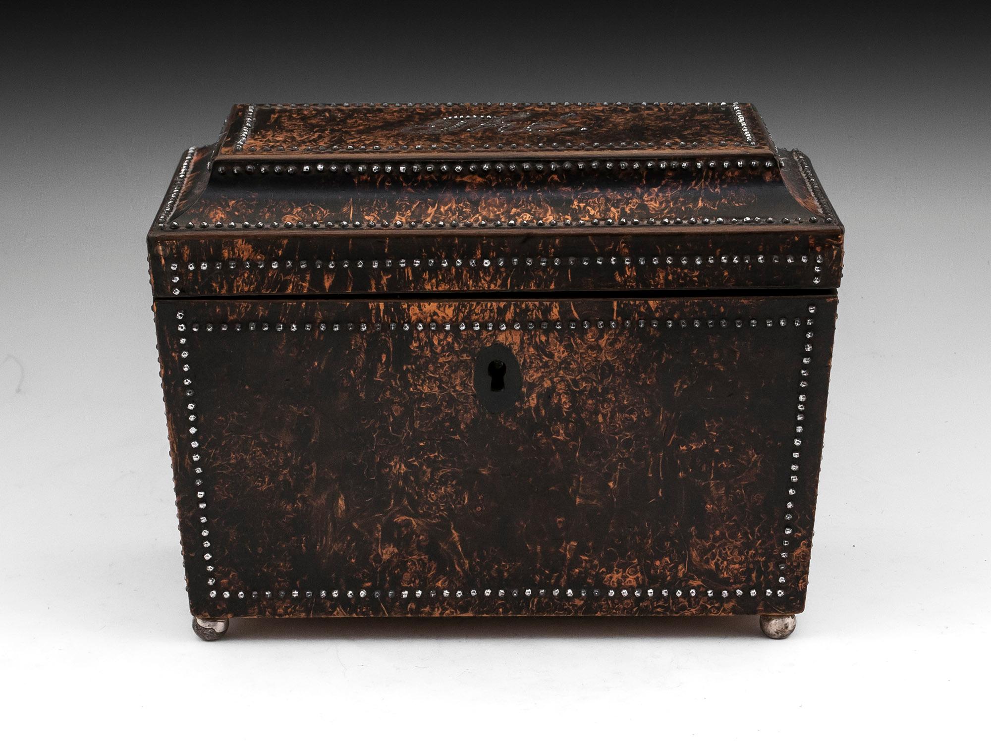 Antique tea caddy vennered in stunning rare Mulberry adorned with faceted cut steel pins on each face, and the word French word Tea The' on the top, standing on four ball feet. 

The interior of this rare mulberry tea caddy has two compartments
