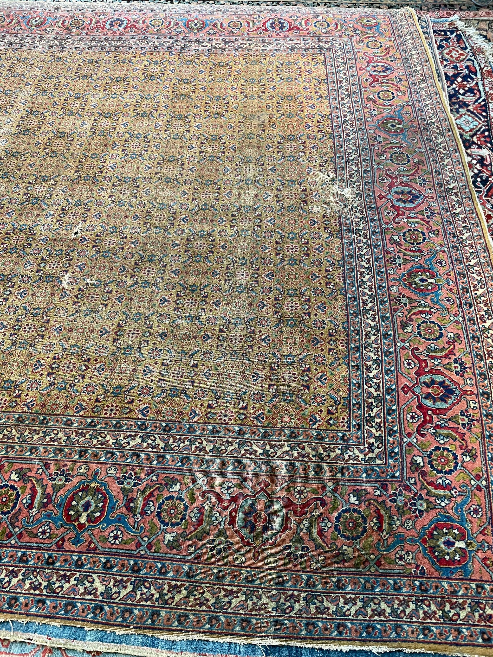 Mustard Saffron & Salmon Designer Antique Tabriz in Herati Design

About: Spectacular designer piece.

Size: 9.3. x 12.3
Age: Antique C. 1930's
Pile: Low/Medium with nice age-related patina, some worn areas, and this piece is getting restored in the