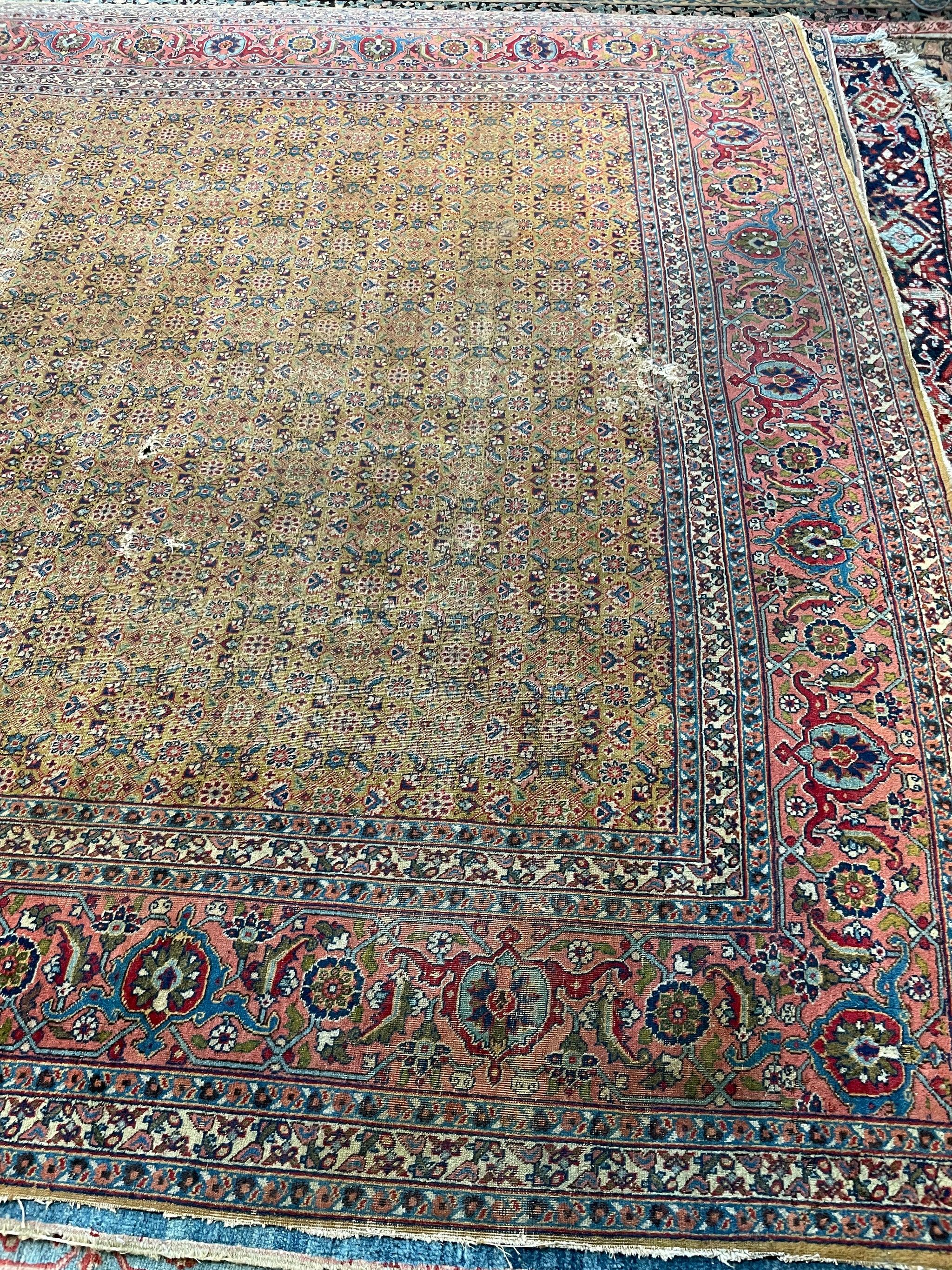 Tabriz Antiguo de Diseño Mostaza Azafrán y Salmón en Diseño Herati

Acerca de: Espectacular pieza de diseño.

Tamaño: 9,3. x 12,3
Antigüedad: Antiguo C. 1930
Pila: Bajo/Medio con una bonita pátina relacionada con la edad, algunas zonas desgastadas,