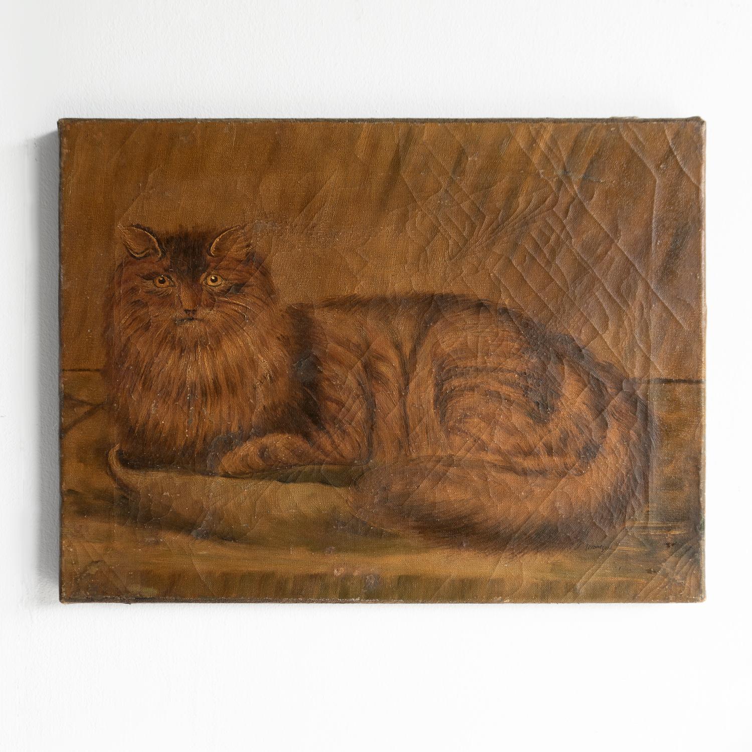 ANTIQUE ORIGINAL OIL PAINTING 

A charming study of a fluffy cat curled up and looking straight at you.

Painted in the naive style.

Signed to the lower right ‘Thomson’. 

Probably dating from the mid to late 19th Century period.

The painting is
