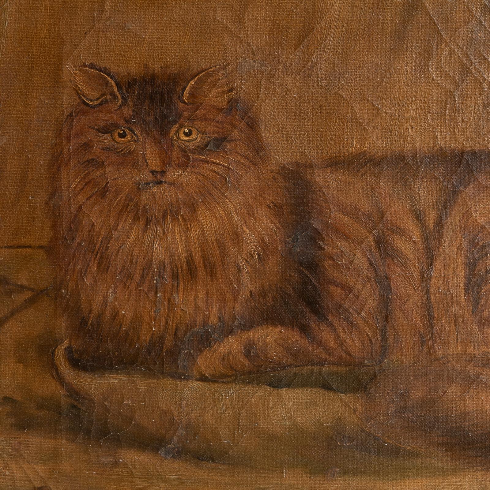British Antique Naive Folk Art Cat Portrait, Original Oil On Canvas Painting, 19th C. For Sale