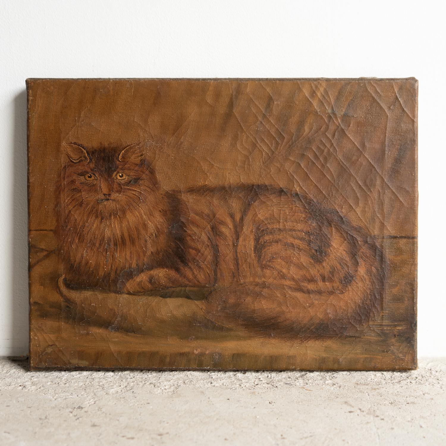 Antique Naive Folk Art Cat Portrait, Original Oil On Canvas Painting, 19th C. In Good Condition For Sale In Bristol, GB