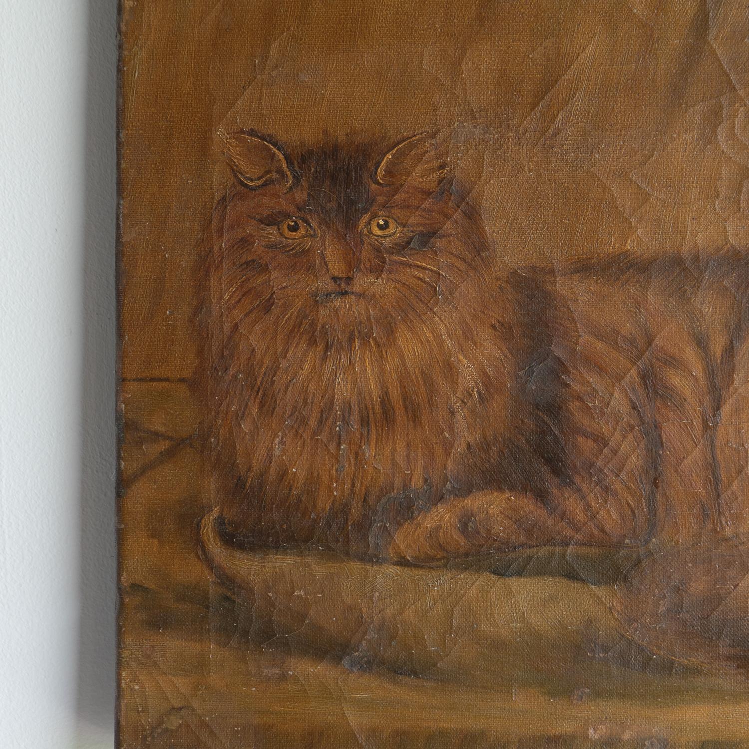 19th Century Antique Naive Folk Art Cat Portrait, Original Oil On Canvas Painting, 19th C. For Sale