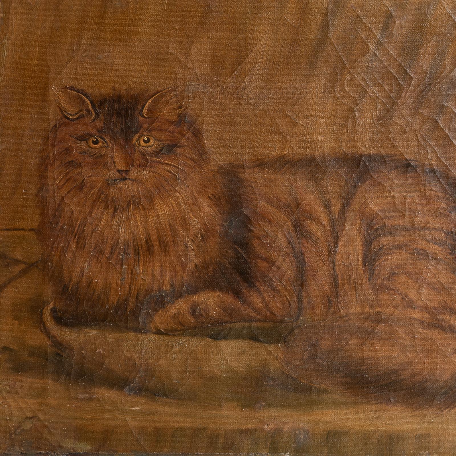 Antique Naive Folk Art Cat Portrait, Original Oil On Canvas Painting, 19th C. For Sale 1