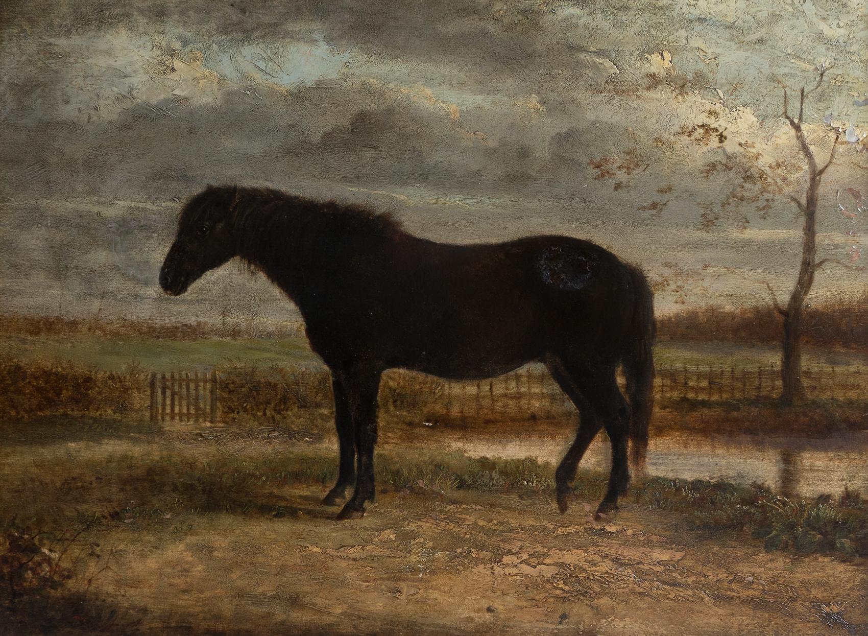 Rustic Antique Naive Portrait Of A Horse In A Landscape, Original Oil On Board Painting