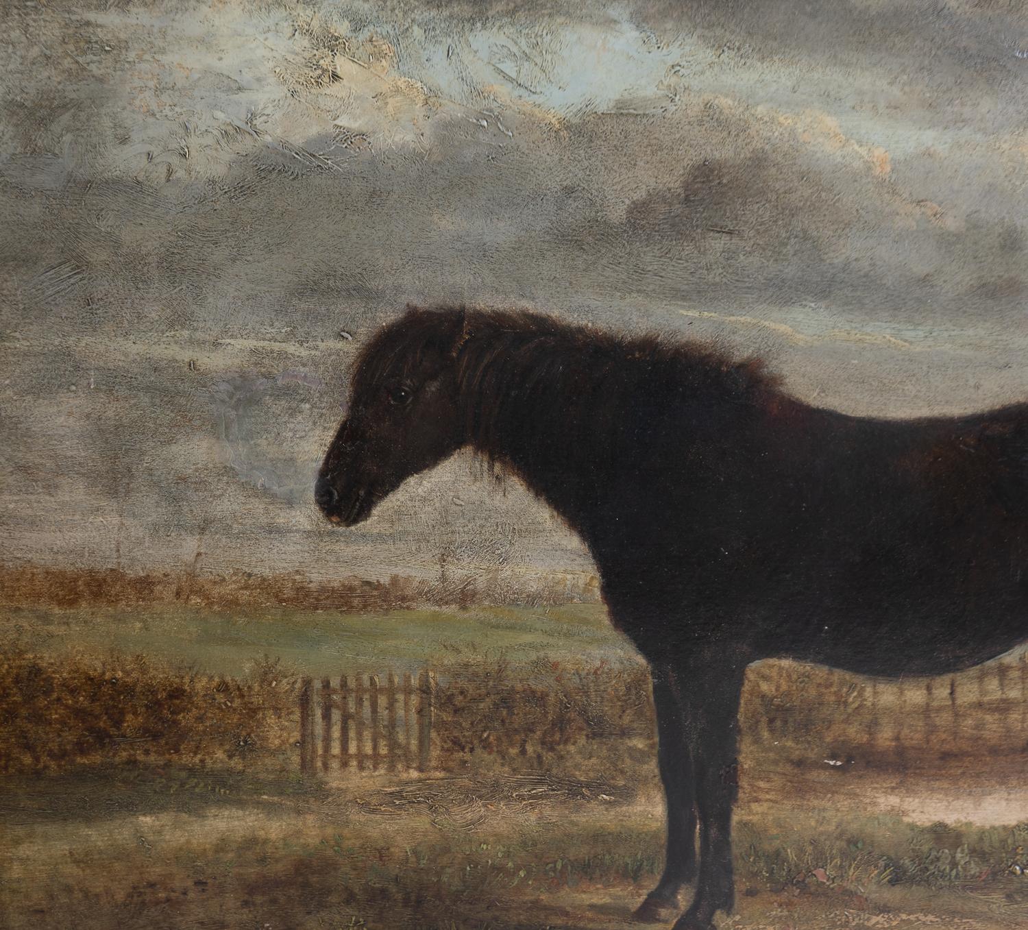 British Antique Naive Portrait Of A Horse In A Landscape, Original Oil On Board Painting