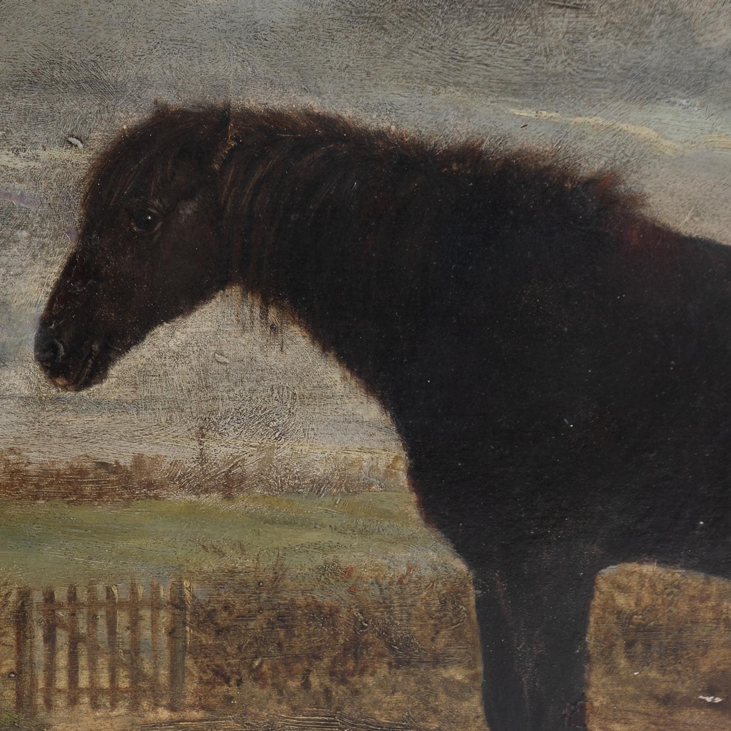 Hand-Crafted Antique Naive Portrait Of A Horse In A Landscape, Original Oil On Board Painting