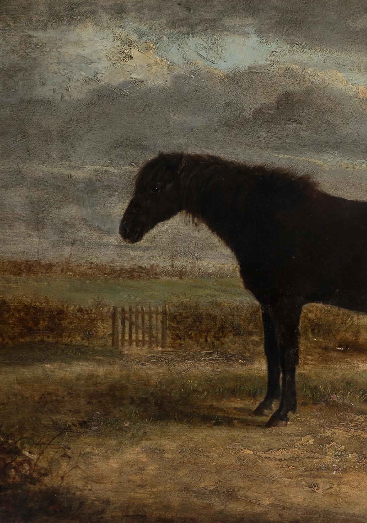 Antique Naive Portrait Of A Horse In A Landscape, Original Oil On Board Painting In Good Condition In Bristol, GB