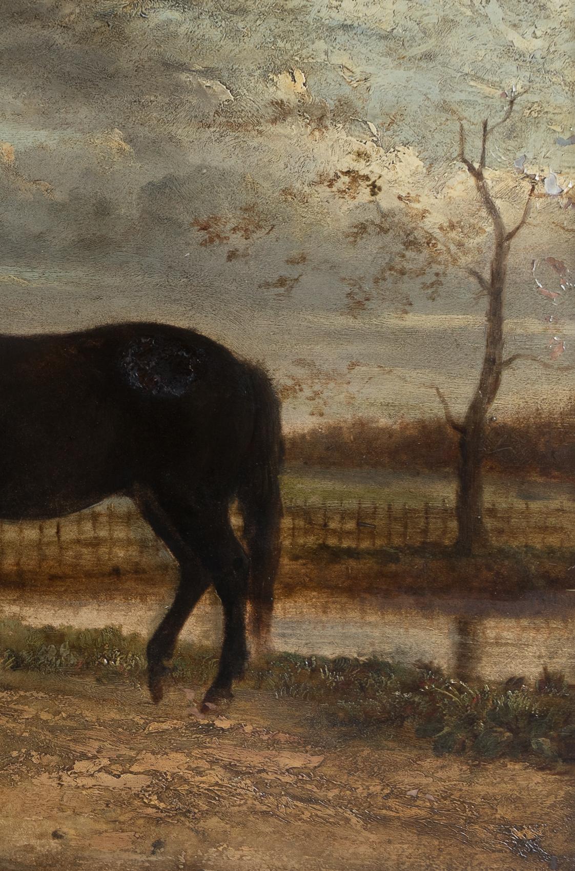 19th Century Antique Naive Portrait Of A Horse In A Landscape, Original Oil On Board Painting