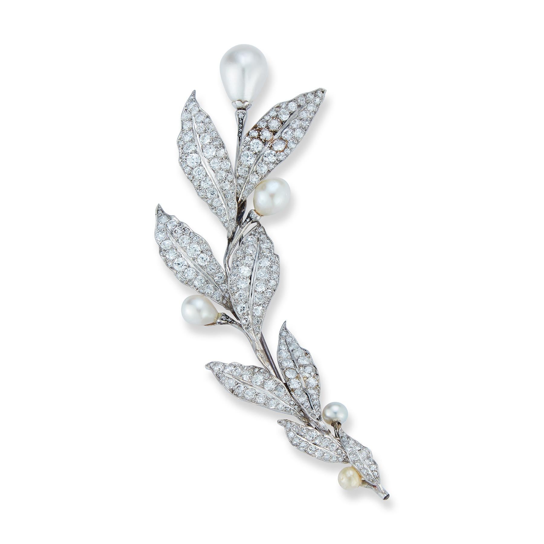Belle Époque Natural Pearl and Diamond Flower Brooch or Hairpiece

4 certified natural pearls with pave diamond leaves set in platinum
1 synthetic pearl

Measurements: 4
