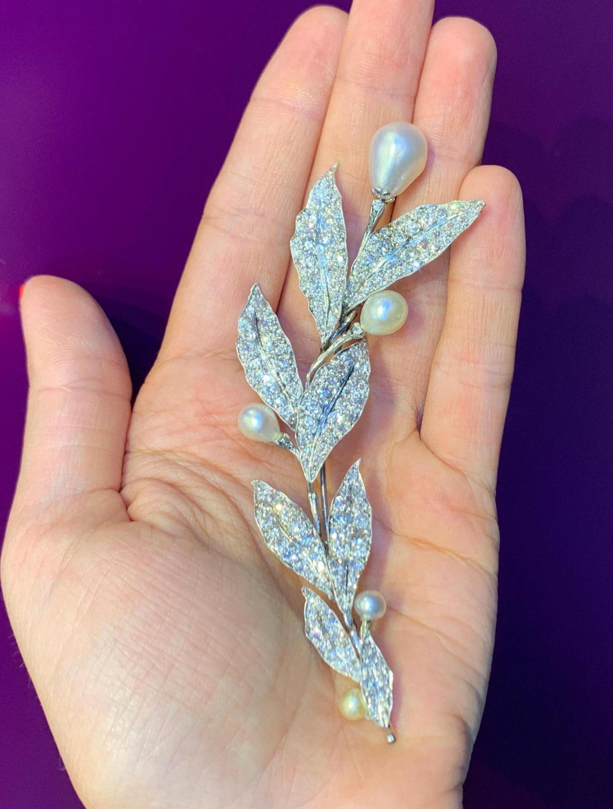 Blumenbrosche oder Haarpiece aus Naturperlen und Diamanten aus der Belle Epoque (Perle) im Angebot