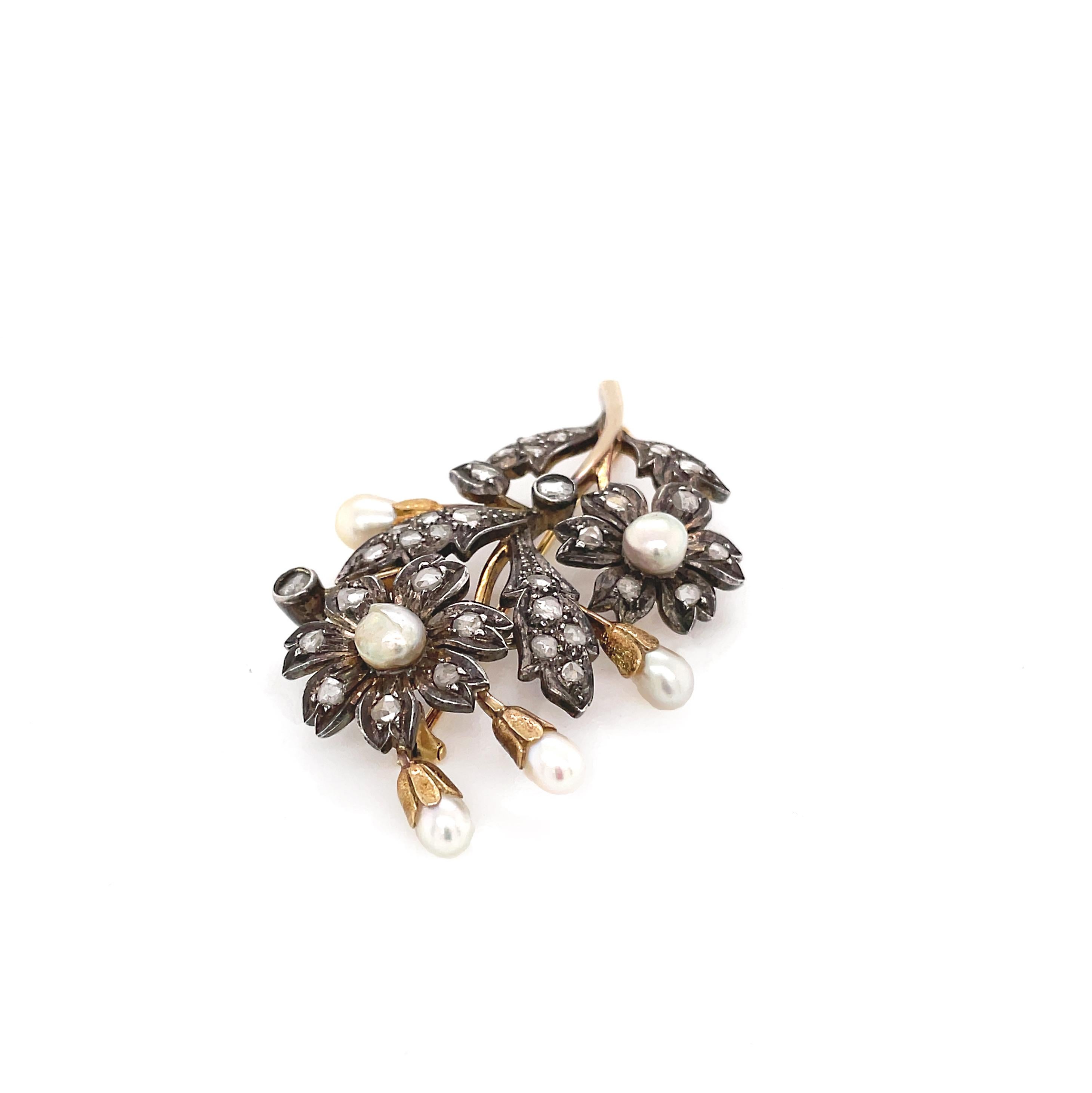 This gorgeous Victorian brooch has been crafted in silver on gold, typical of its period. The floral designed piece is beautifully set with 6 natural Saltwater pearls measuring between 4.2mm - 5.4mm, decorated with a cluster of approximately 2.00