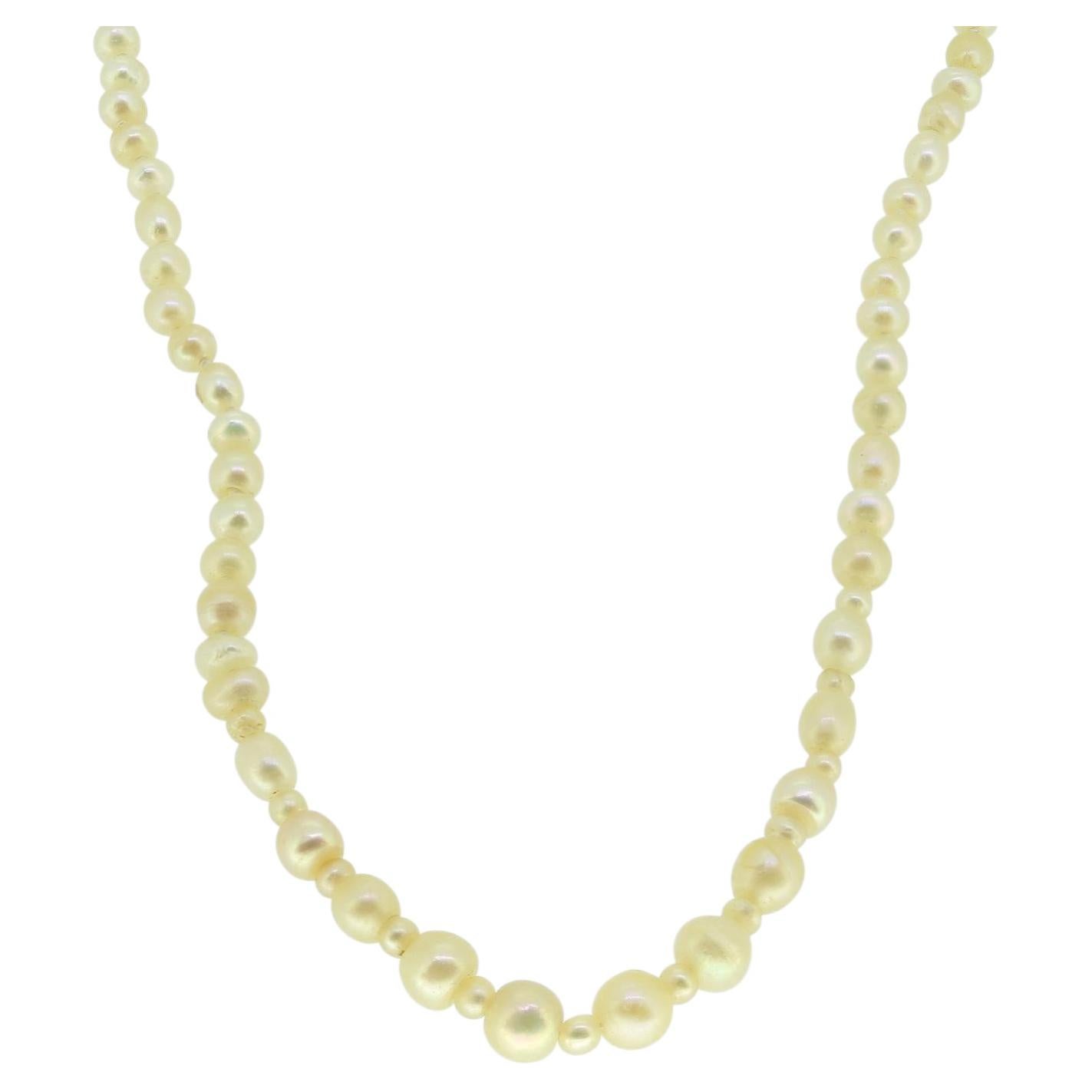 Antique Natural Pearl Necklace and Rose Cut Diamond Clasp For Sale