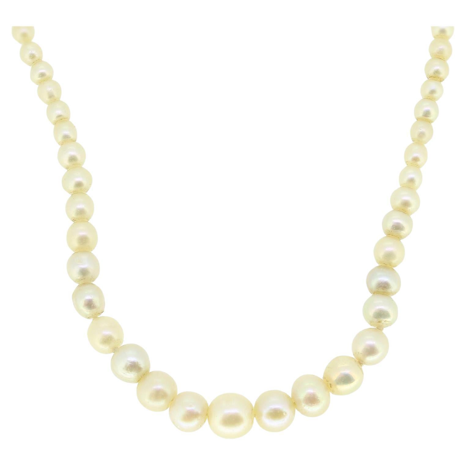 Antique Natural Pearl Necklace For Sale