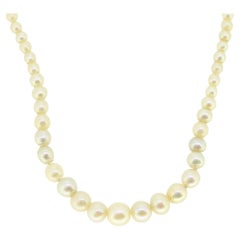 Used Natural Pearl Necklace