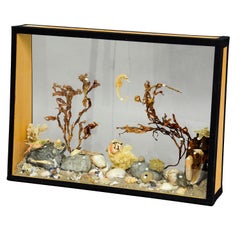 Antique Natural Wunderkammer Aquarium Specimen in Glass Showcase