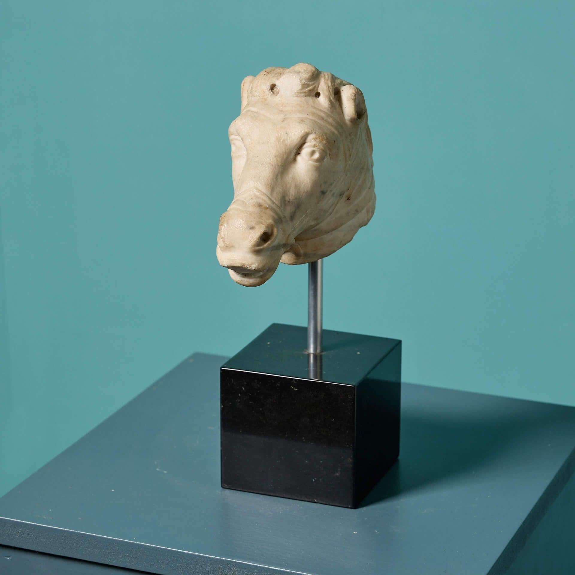 Néoclassique Ancienne sculpture néoclassique de tête de cheval en marbre sculpté en vente