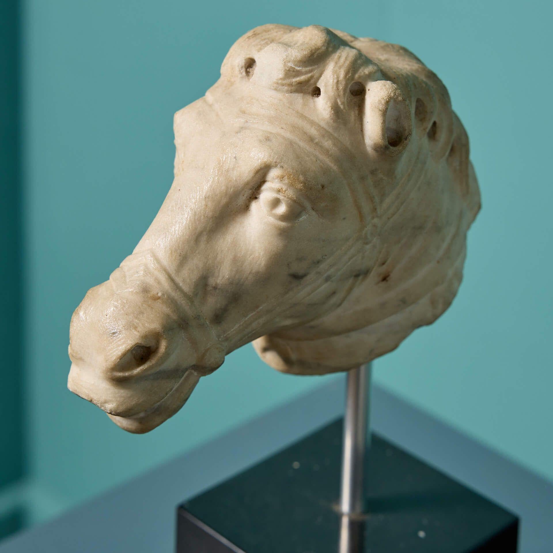 italien Ancienne sculpture néoclassique de tête de cheval en marbre sculpté en vente