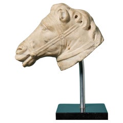 Ancienne sculpture néoclassique de tête de cheval en marbre sculpté