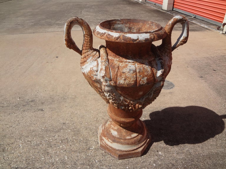 Antique Neoclassical Style Cast Iron Garden Urn with Swan Handles For